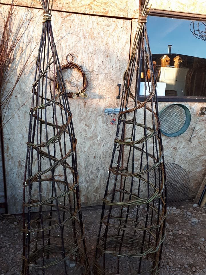 spiral plant supports.jpg