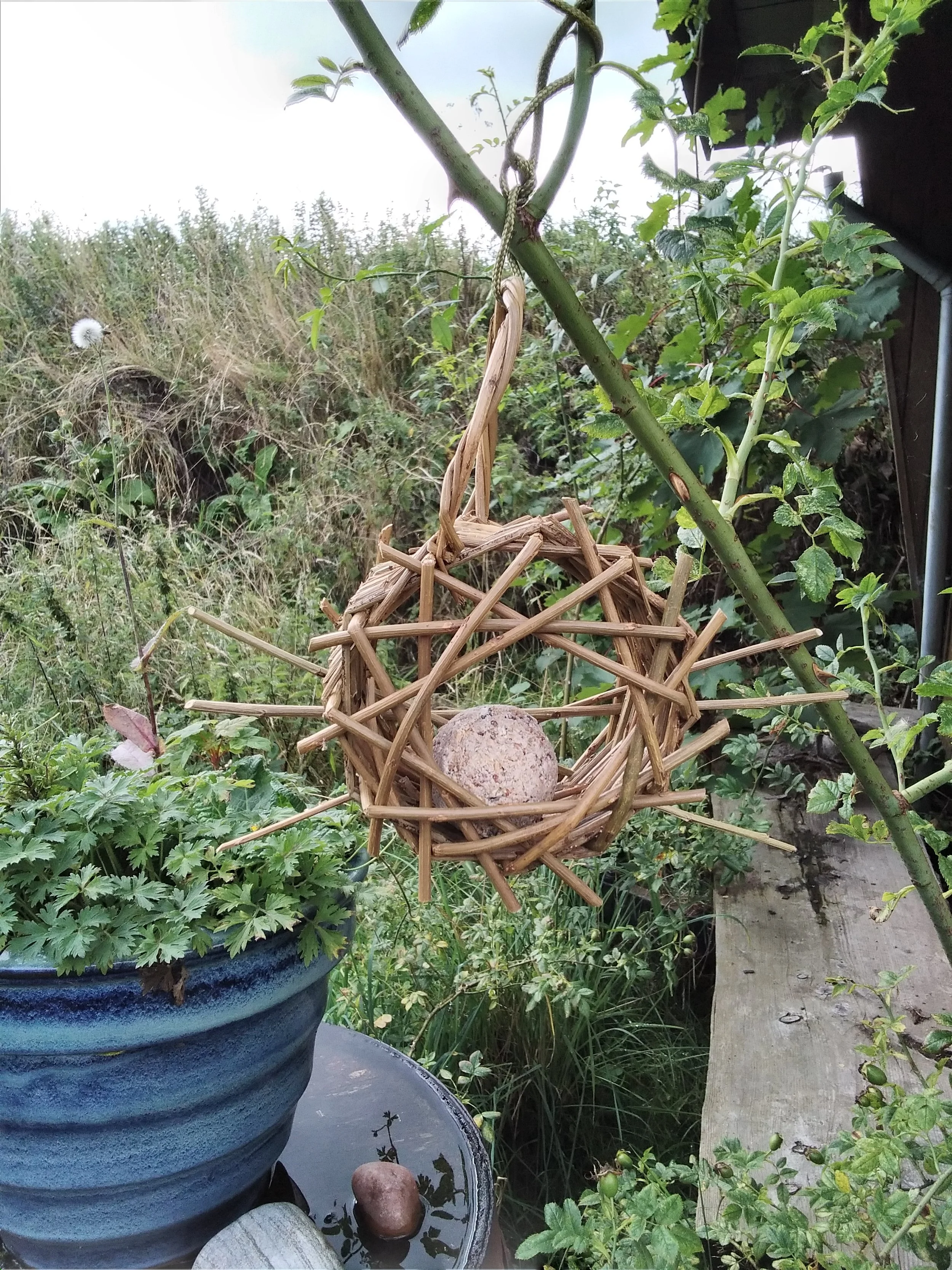 willow bird feeder.jpg