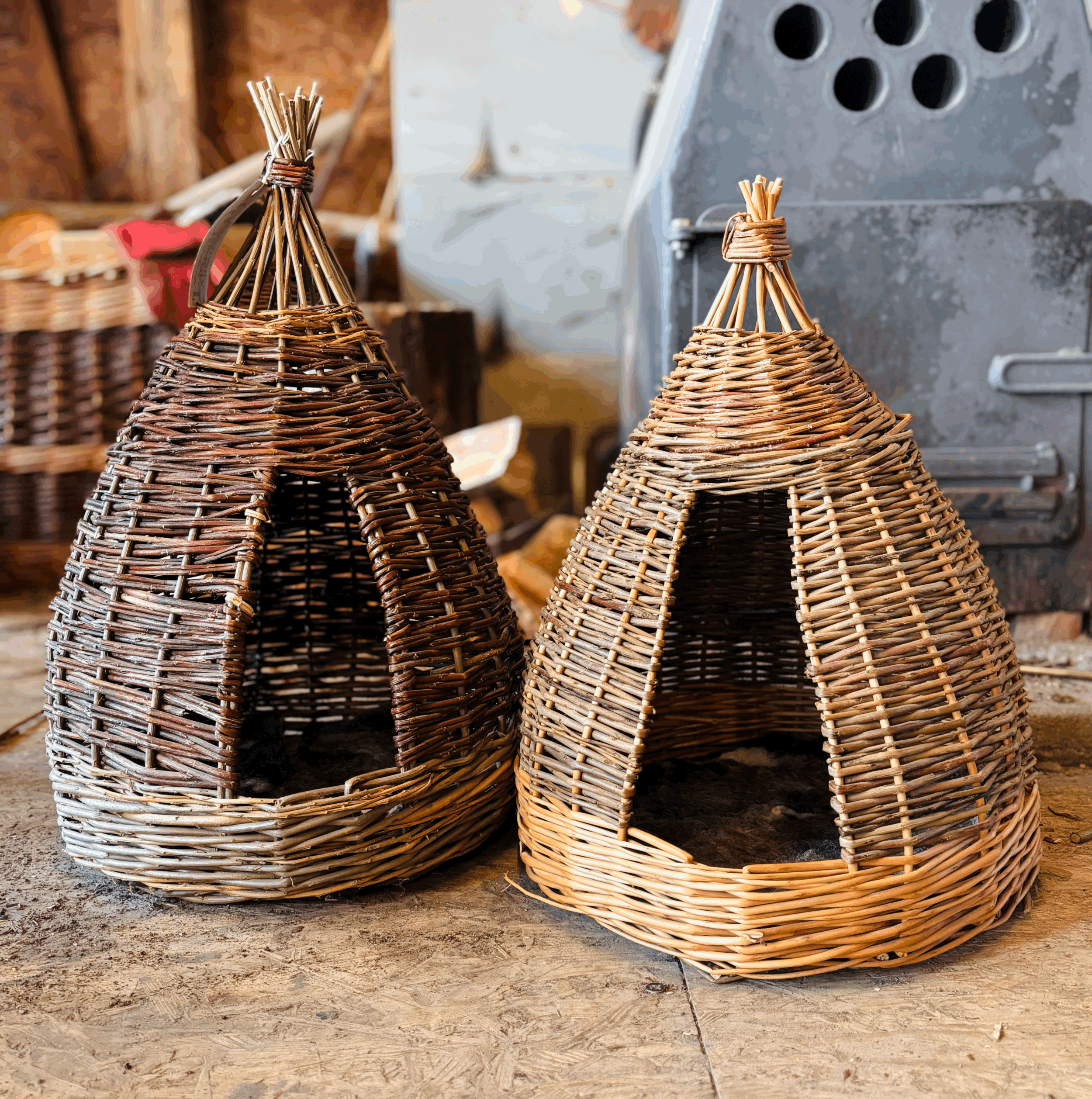 Create a Cat (or small dog) Pod! Willow weaving - Sat 19th Sept - 9:30 - 5pm