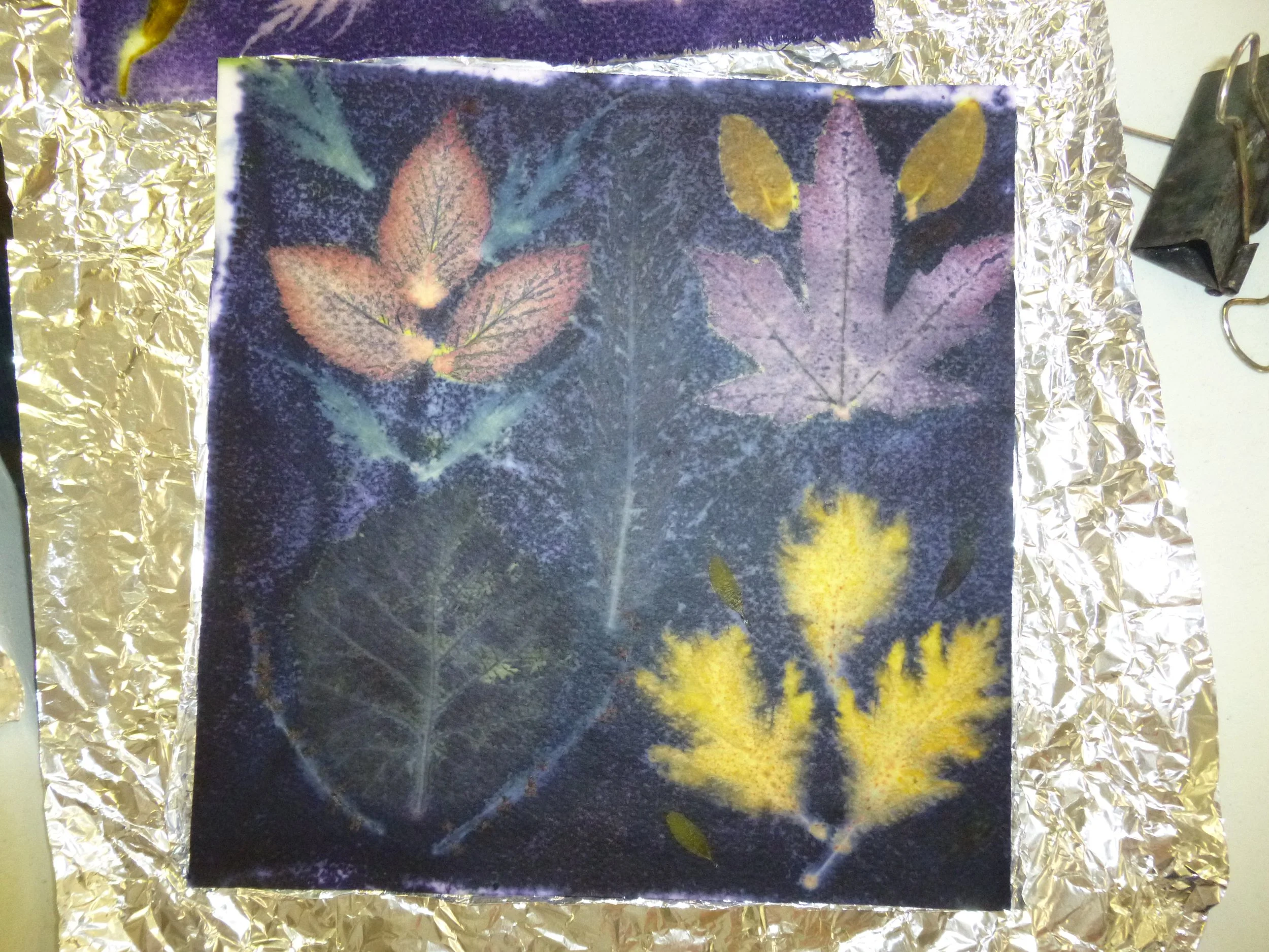 eco print by student with Logwood dye background