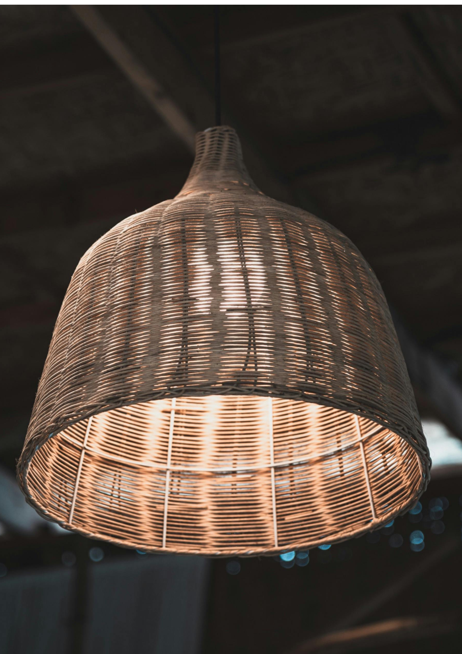 Untitled design-3.png