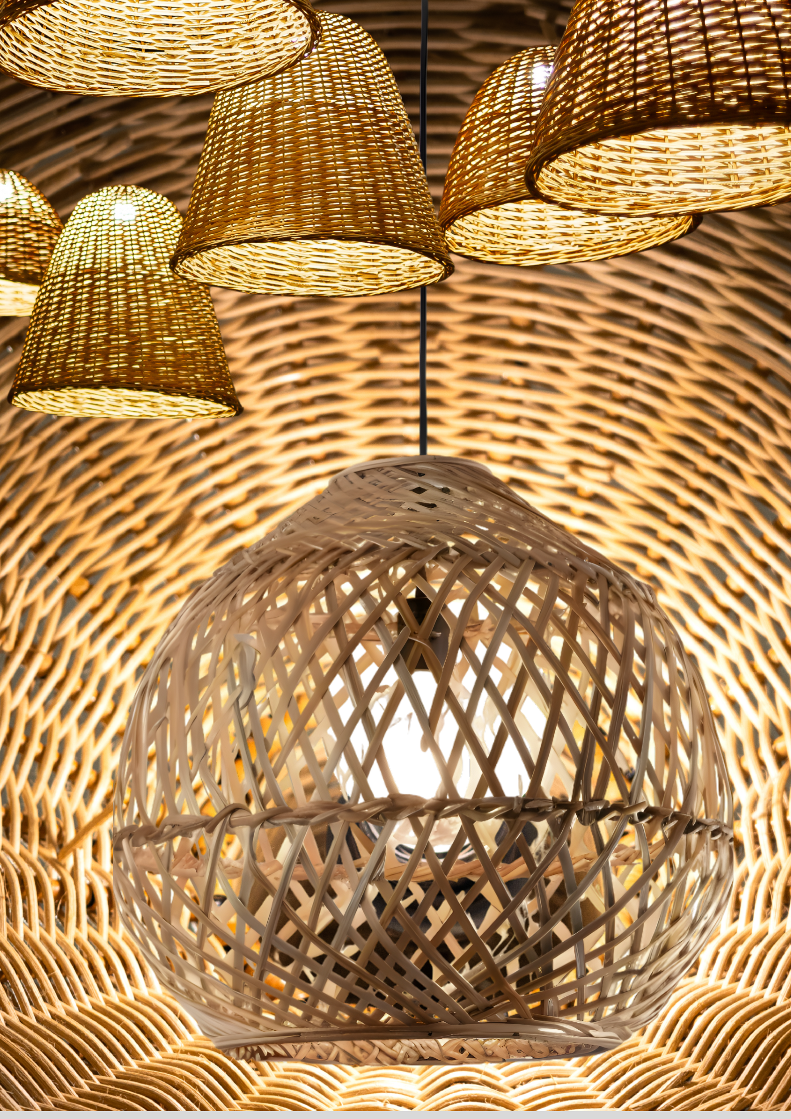 Untitled design-4.png