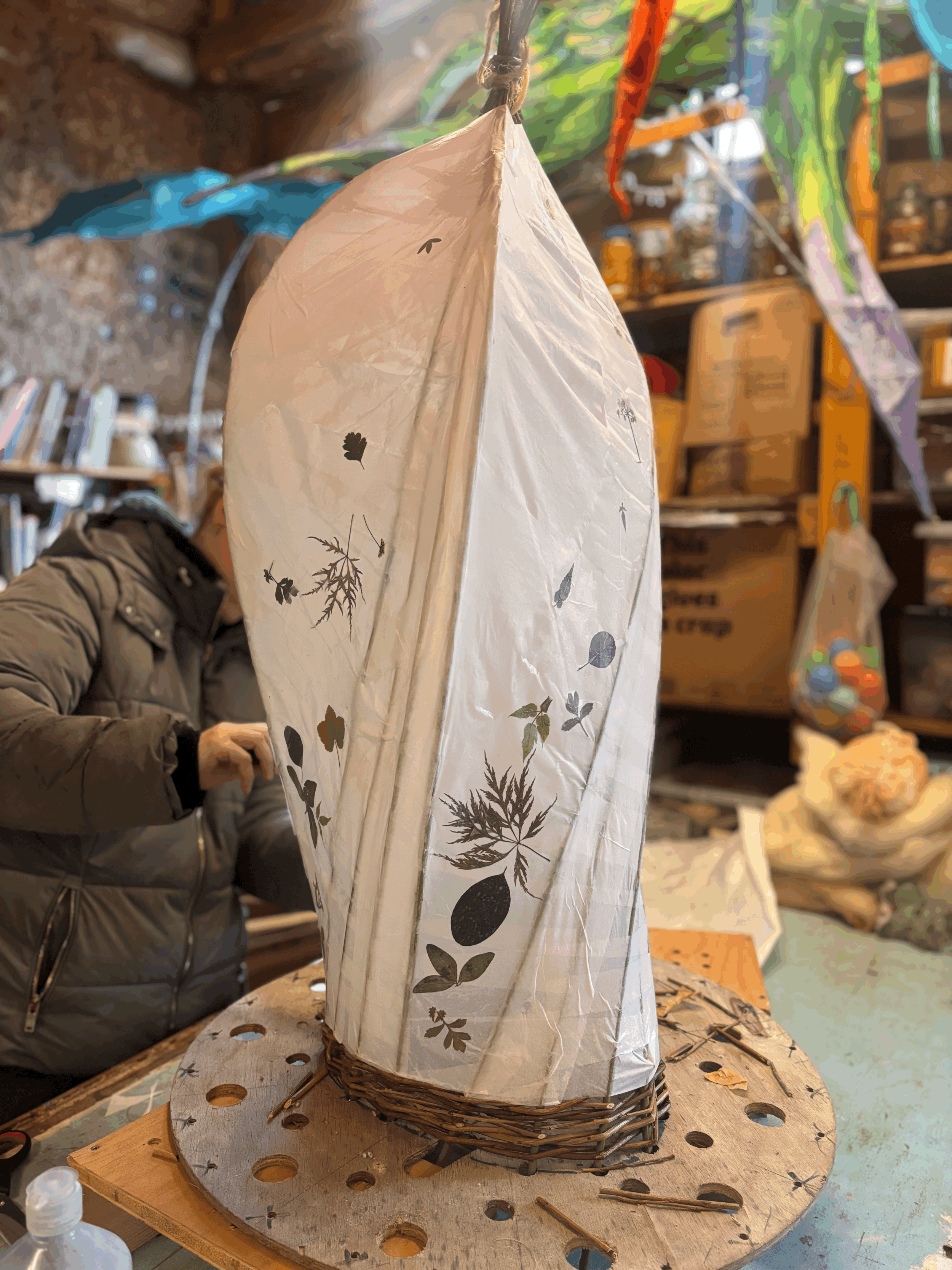 Willow & Paper Lanterns - Sat 12th Sept - 9:30-5pm