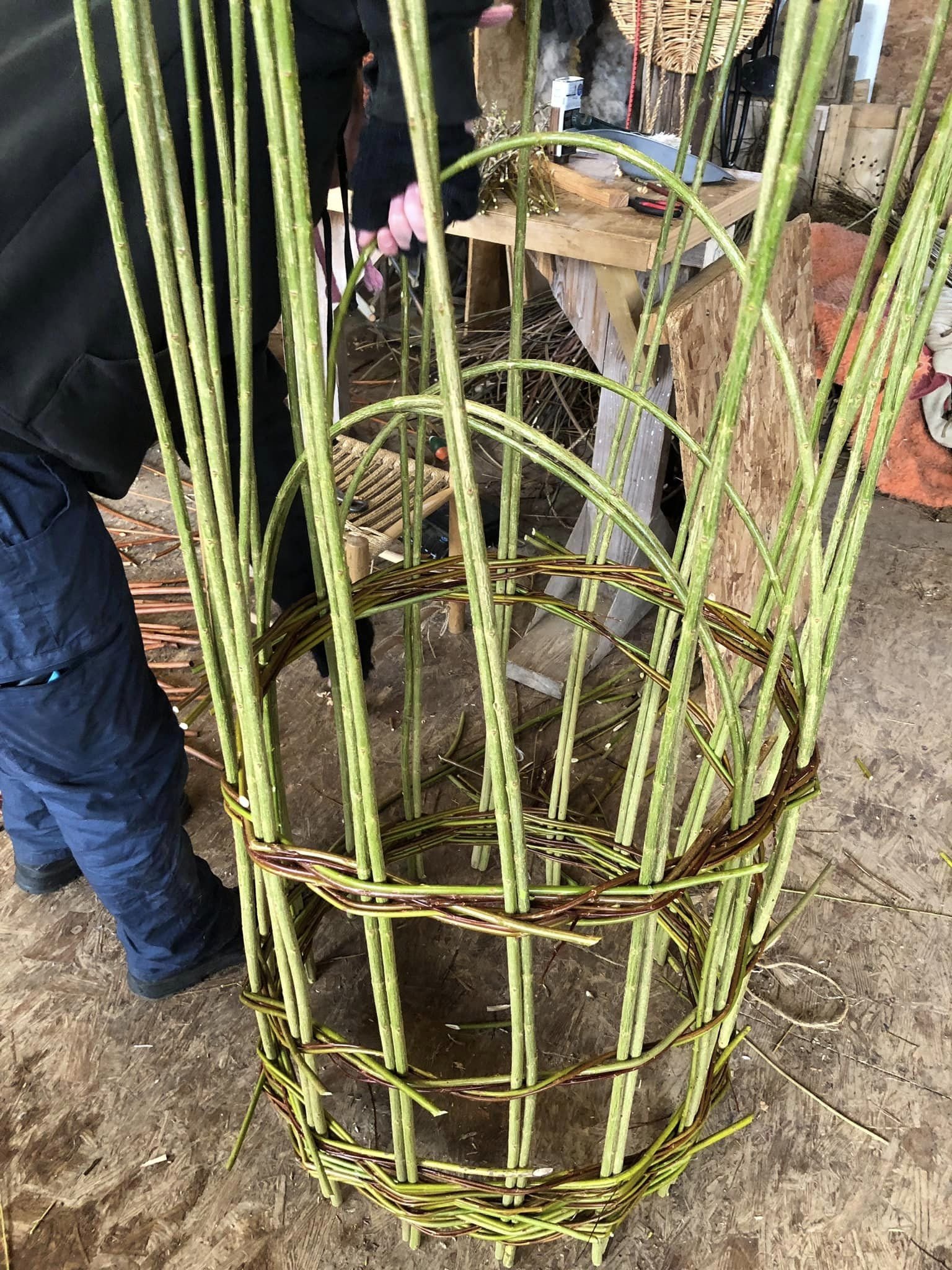 plant support workshop.jpg