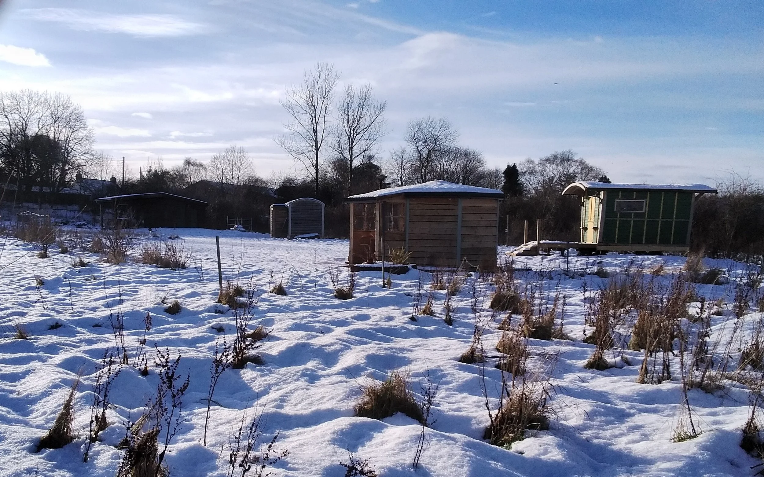 accommodation at Naturally Useful