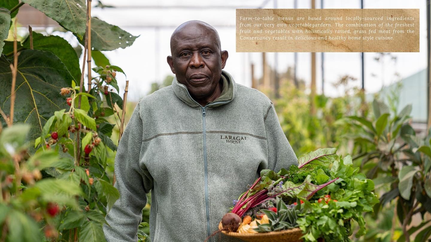 Laragai Vegetable garden

START YOUR JOURNEY HERE 
www.laragaihouse.com

bookings@laragaihouse.com | +254 (0) 712 579 999
Booking office @scc_kenya 

#LaragaiHouse #BoranaConservancy #Kenya #Travel #Safari #BespokeStyle #LuxuryTravel #MagicalKenya #W