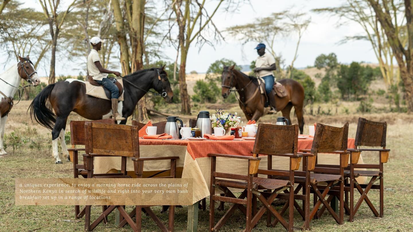 Horse Riding &amp; Bush Breakfast 

START YOUR JOURNEY HERE 
www.laragaihouse.com

bookings@laragaihouse.com | +254 (0) 712 579 999
Booking office @scc_kenya 

#LaragaiHouse #BoranaConservancy #Kenya #Travel #Safari #BespokeStyle #LuxuryTravel #Magic