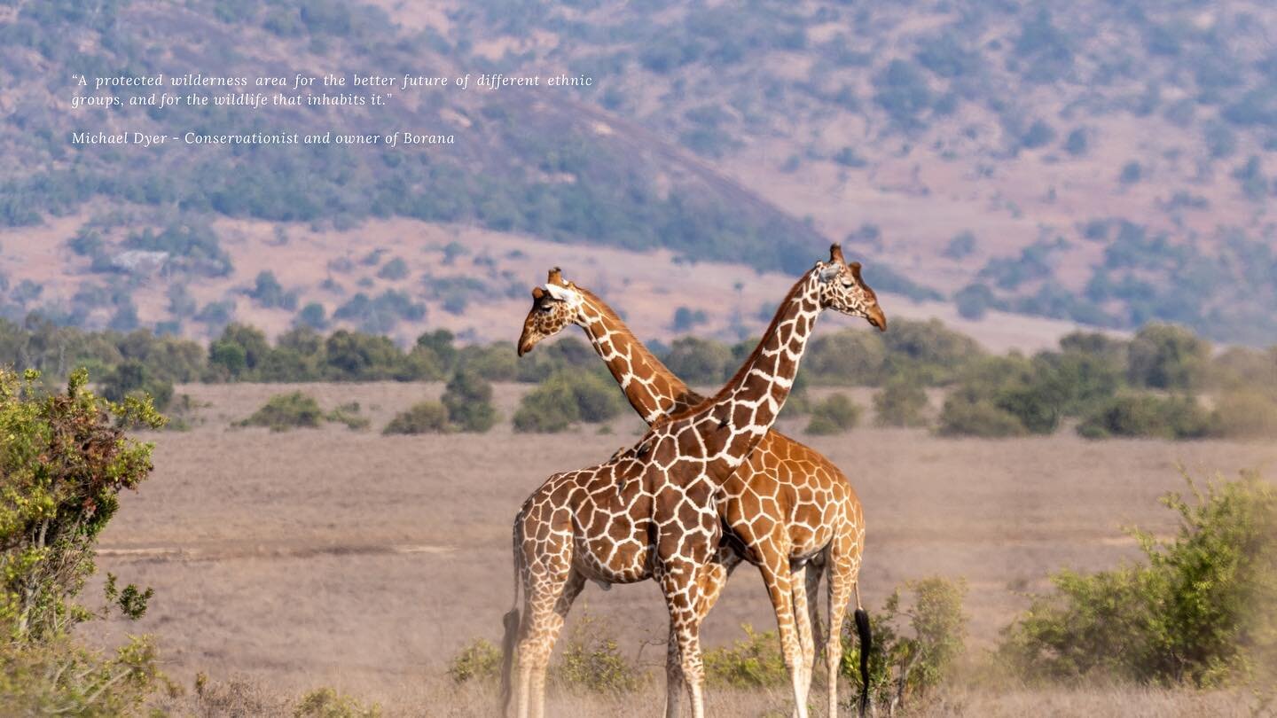 Wildlife 

START YOUR JOURNEY HERE 
www.laragaihouse.com

bookings@laragaihouse.com | +254 (0) 712 579 999
Booking office @scc_kenya 

#LaragaiHouse #BoranaConservancy #Kenya #Travel #Safari #BespokeStyle #LuxuryTravel #MagicalKenya #WildlifeConserva