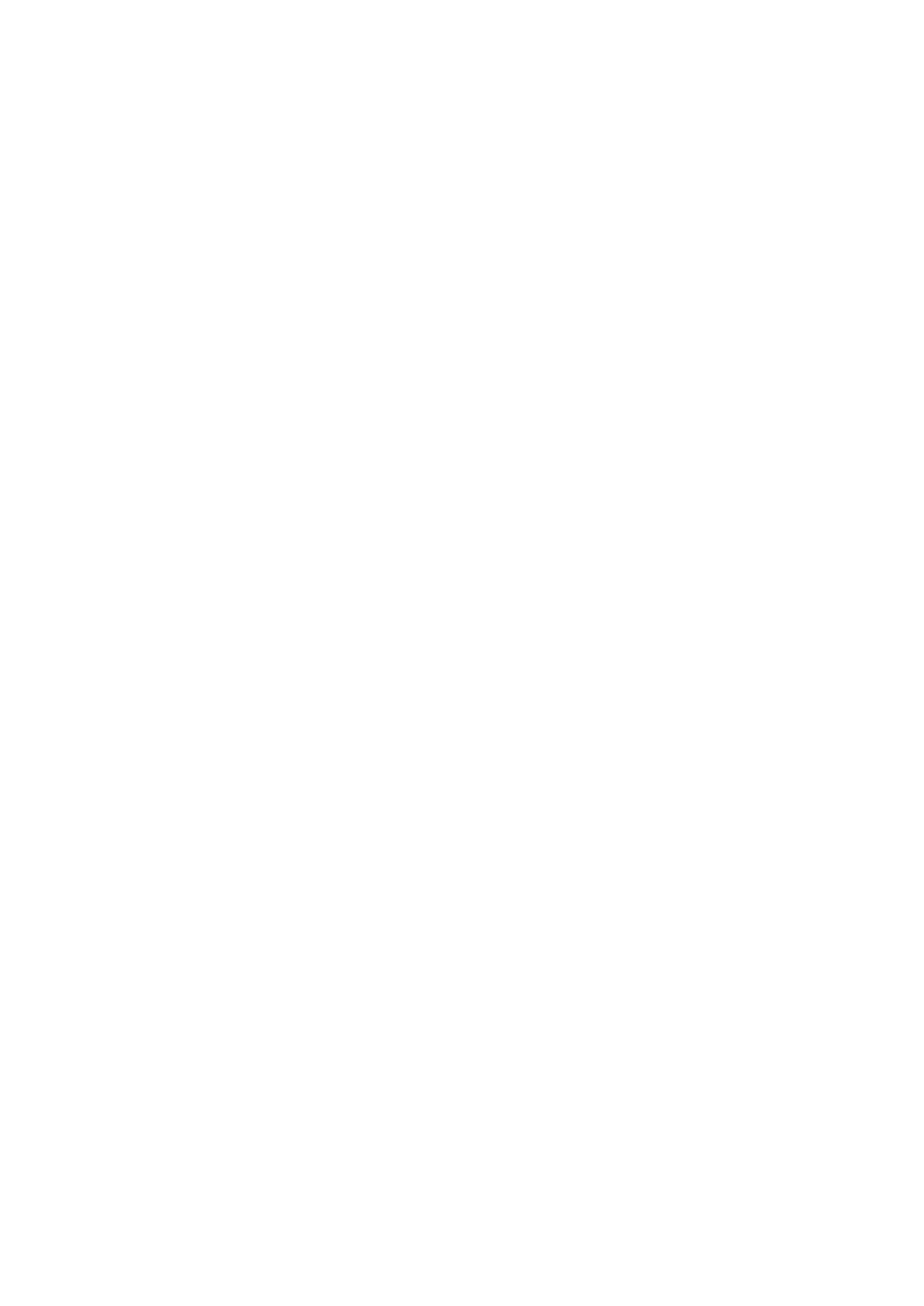 1 8 0 4         H I R S C H A U 