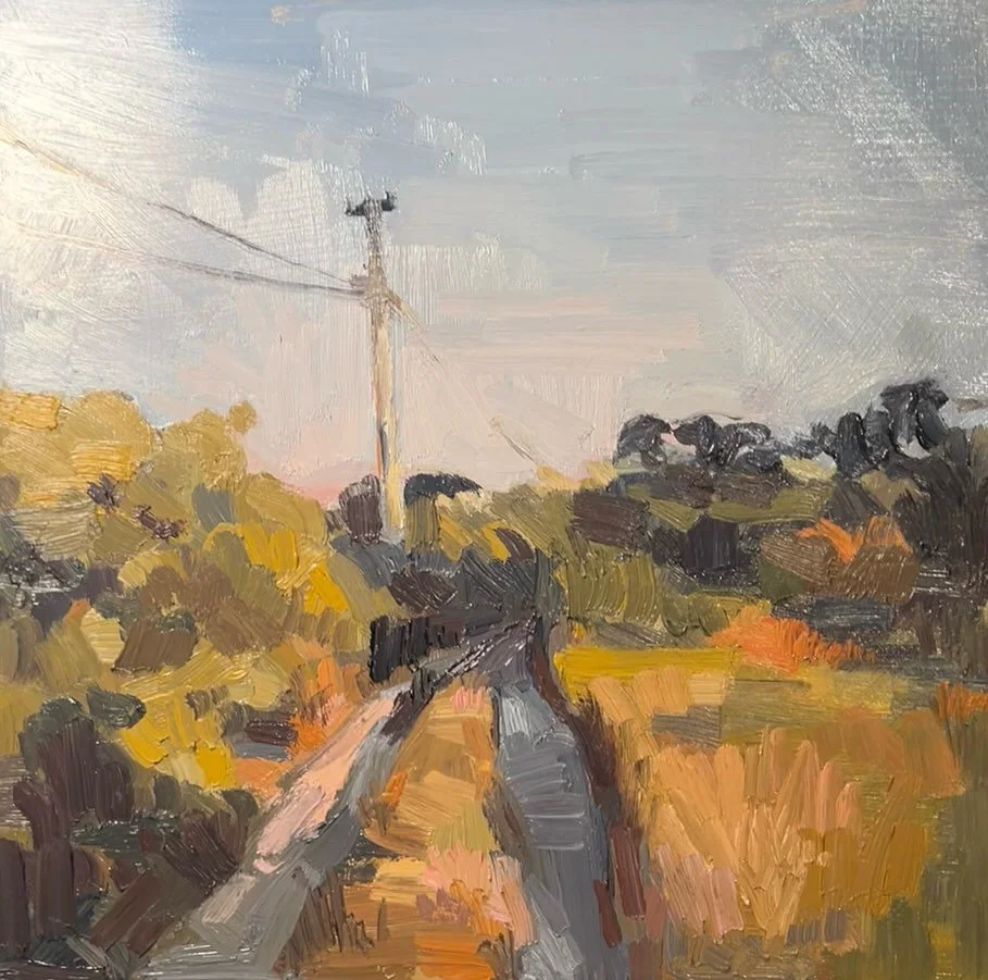 Summer shadows from summer sunsets 

1 hour oil painting on wood

#art #artist #artistsofig #artistsoninstagram #oilpainting #oils #pleinairpainting #landscape #landscapepainting