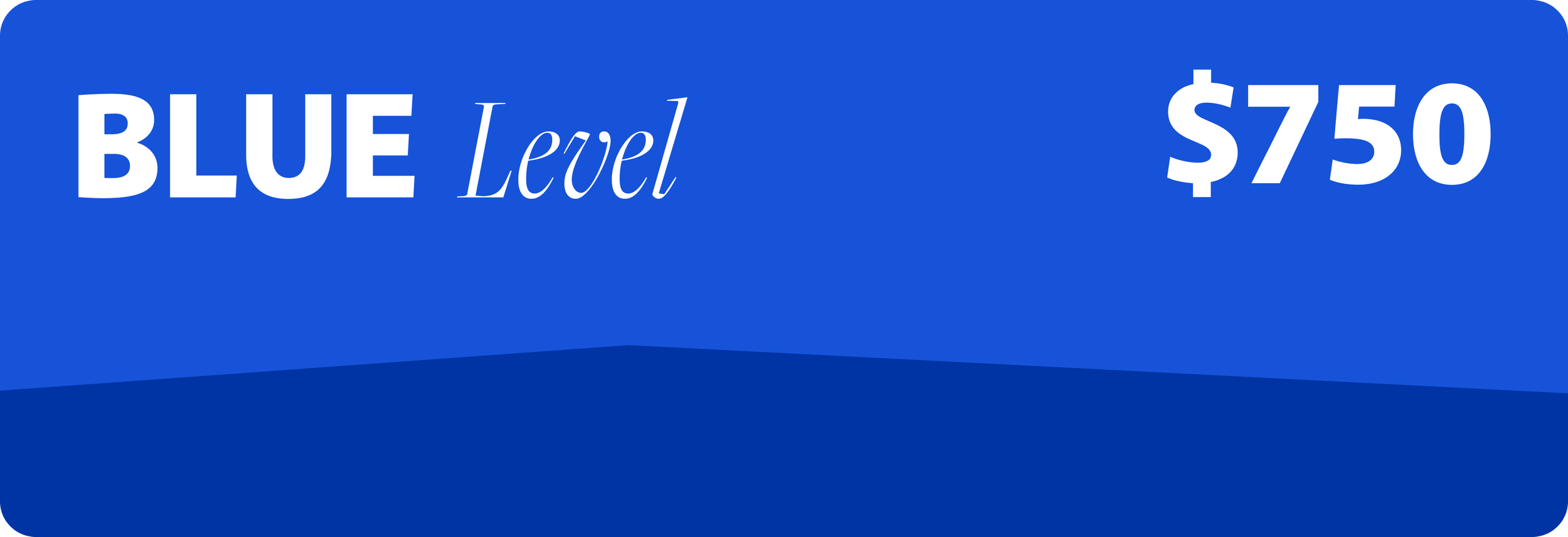 Blue level gauge sticker with the text 'Blue Level' and a price of $750.