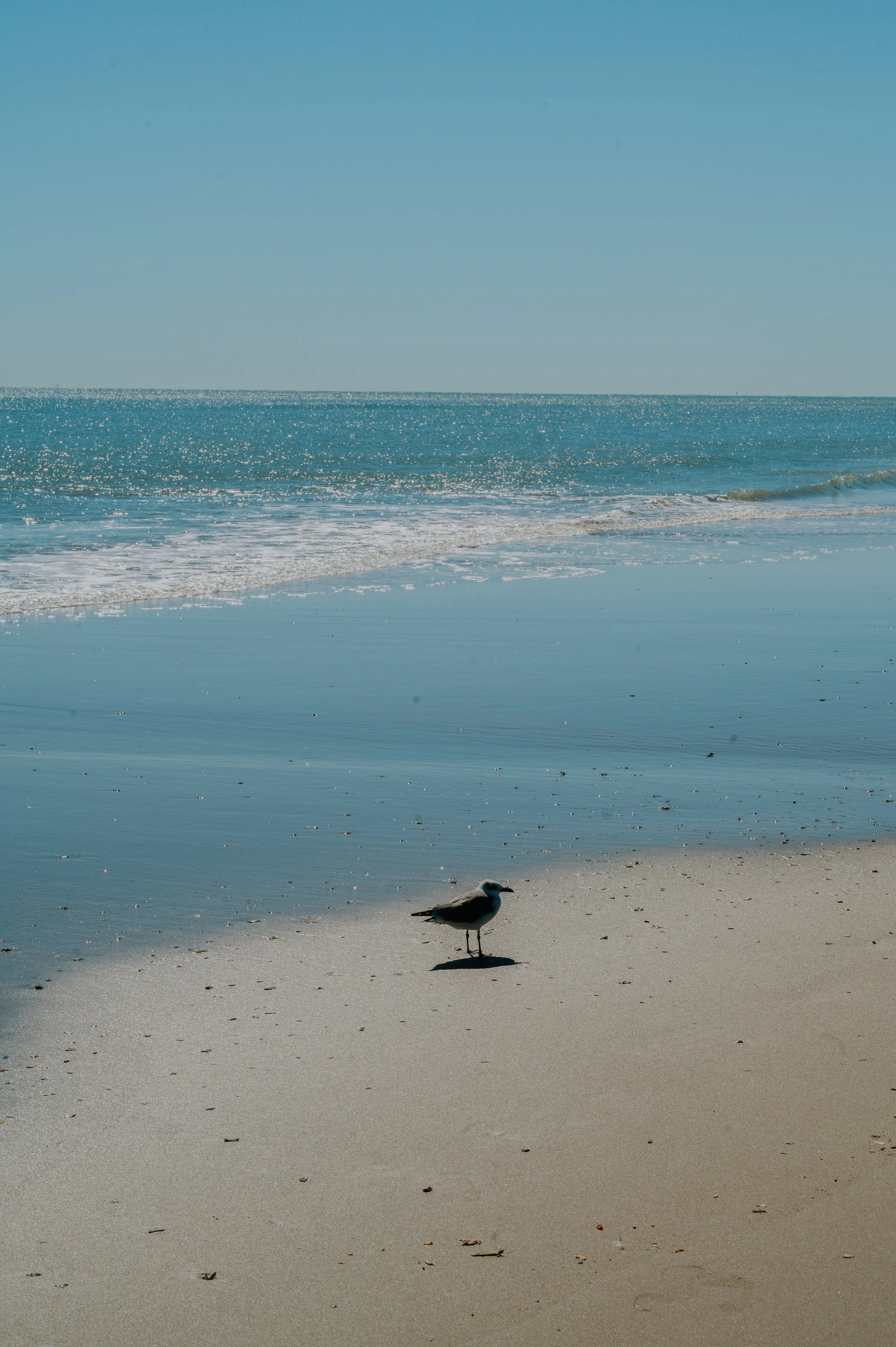 DSC_1655.jpg