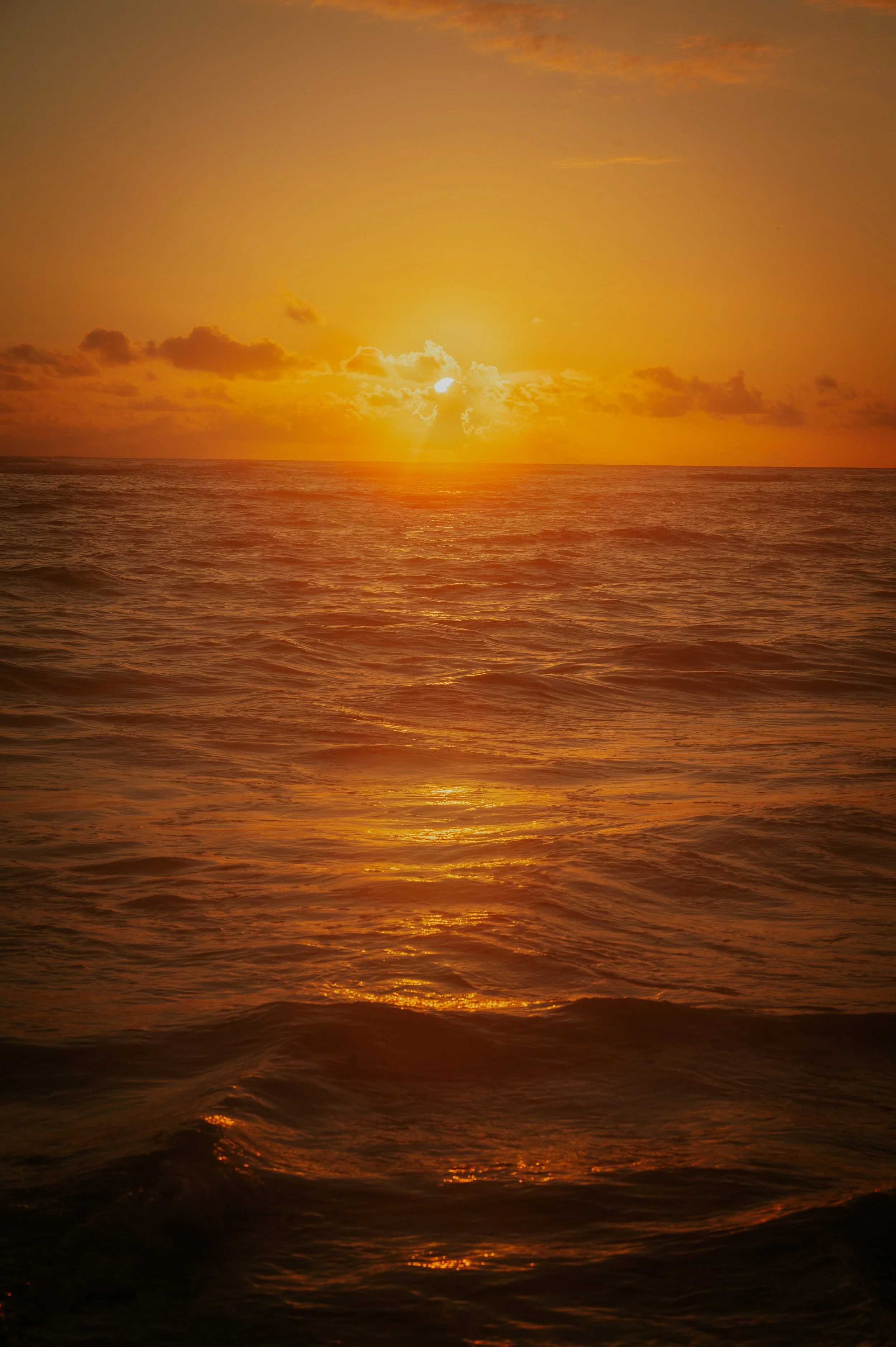 DSC_6242.jpg