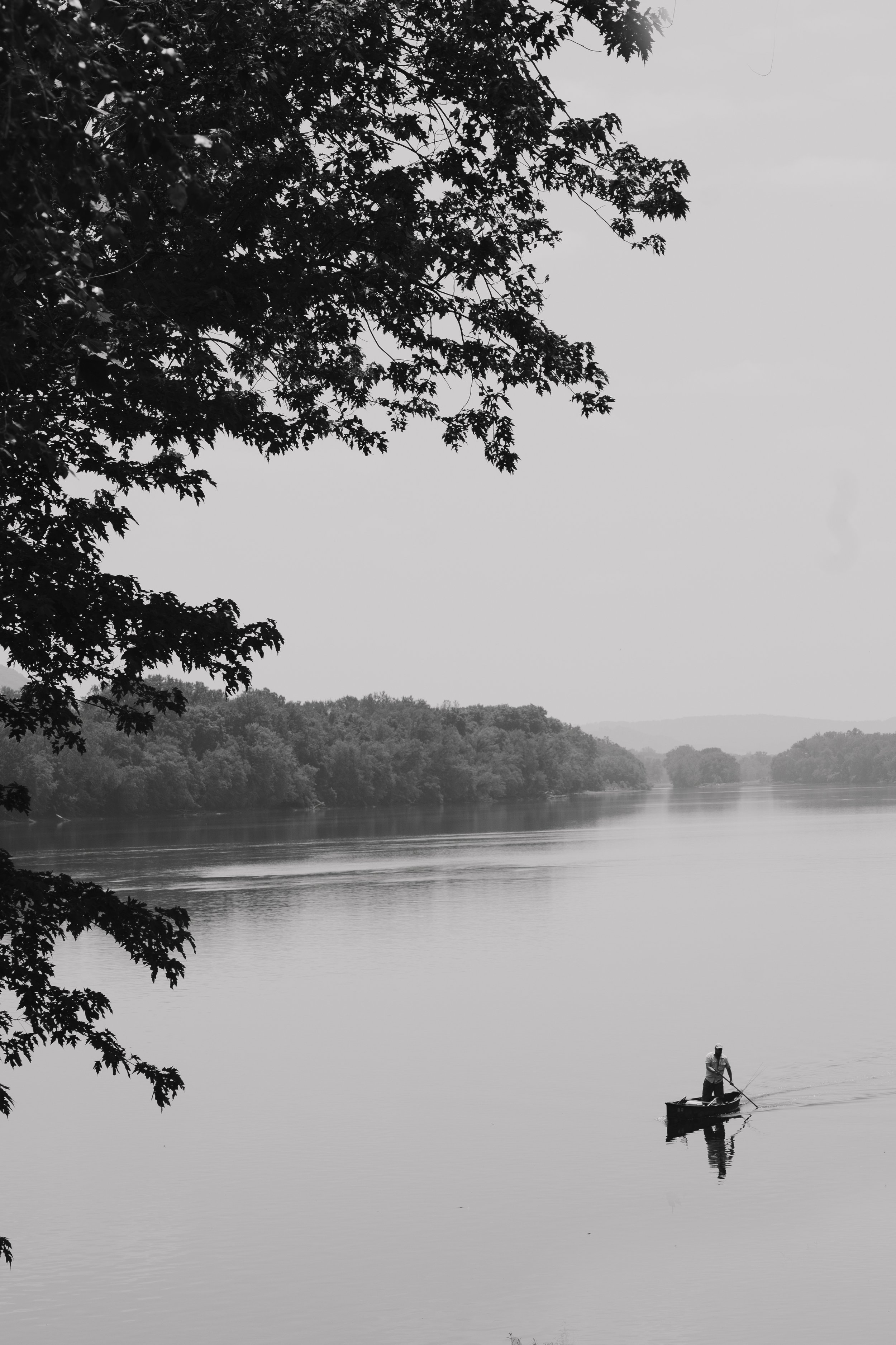 DSC_4316.jpg