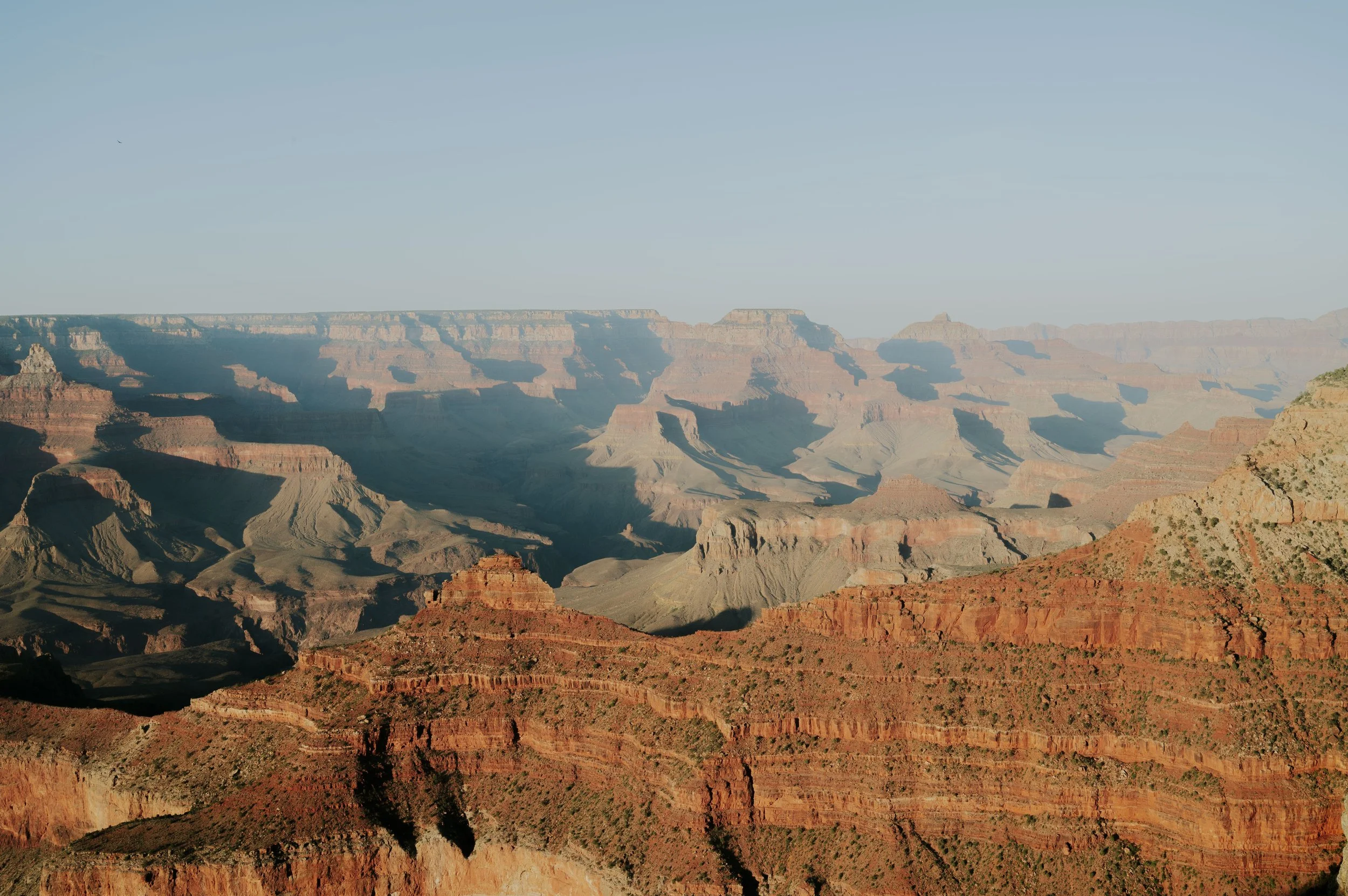 DSC_4497.jpg