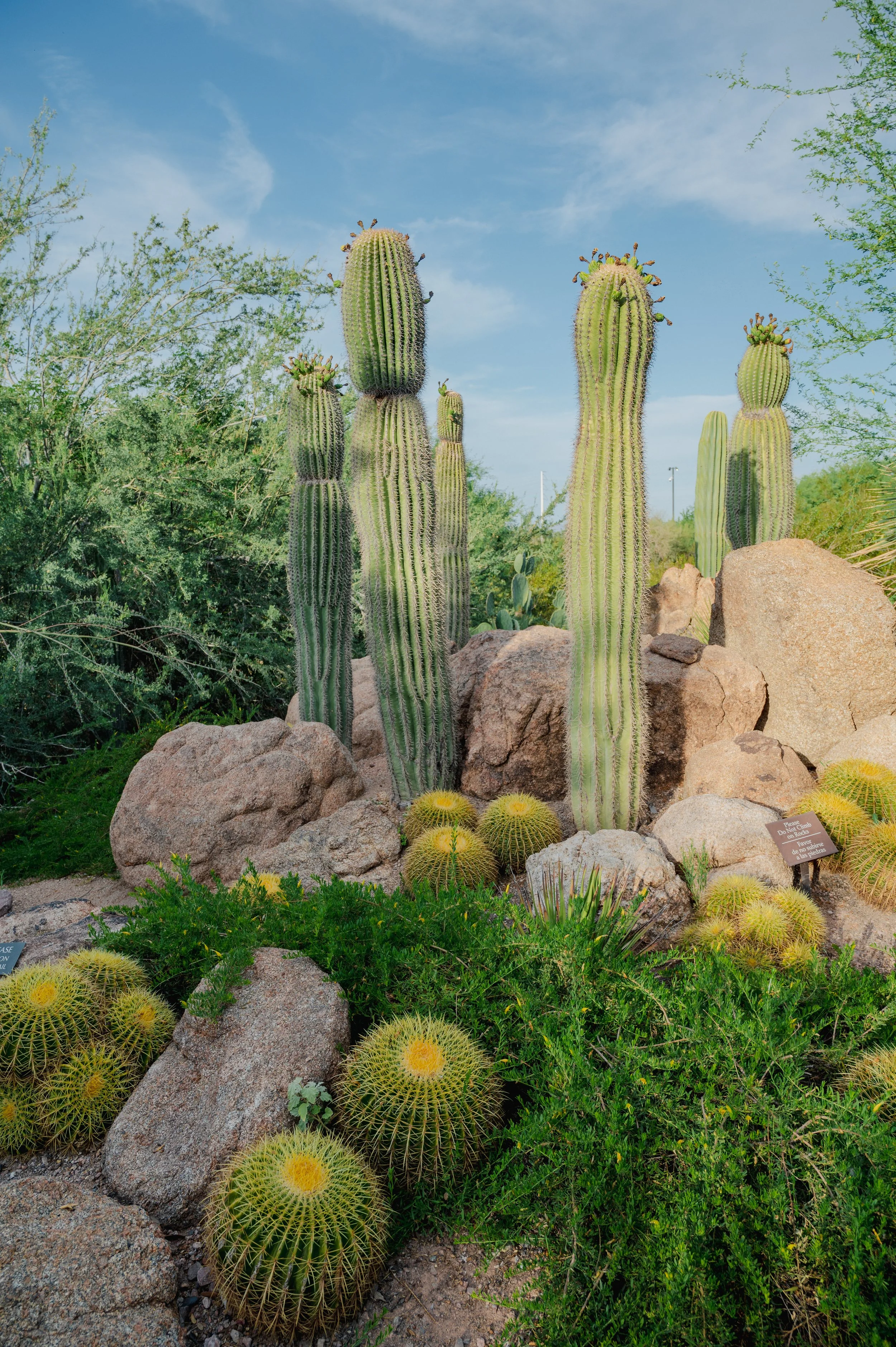 Arizona