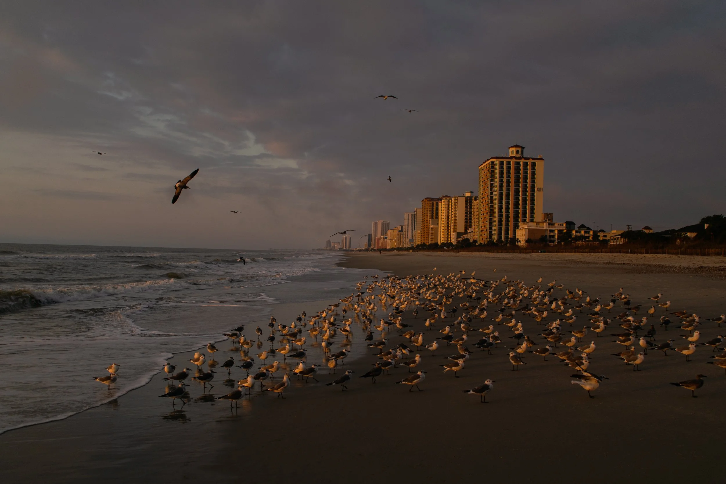 DSC_0325.jpg