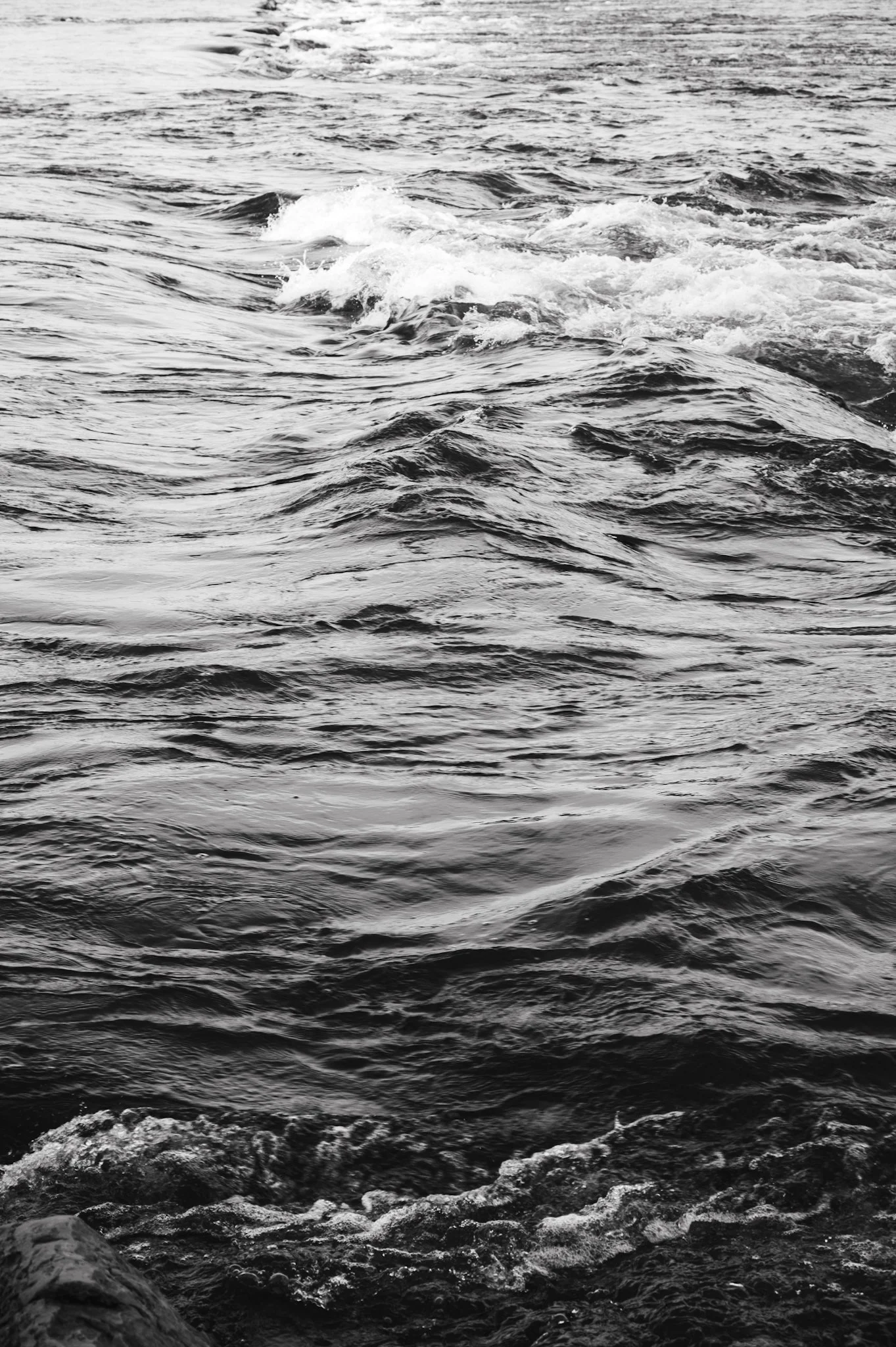 DSC_1126.jpeg