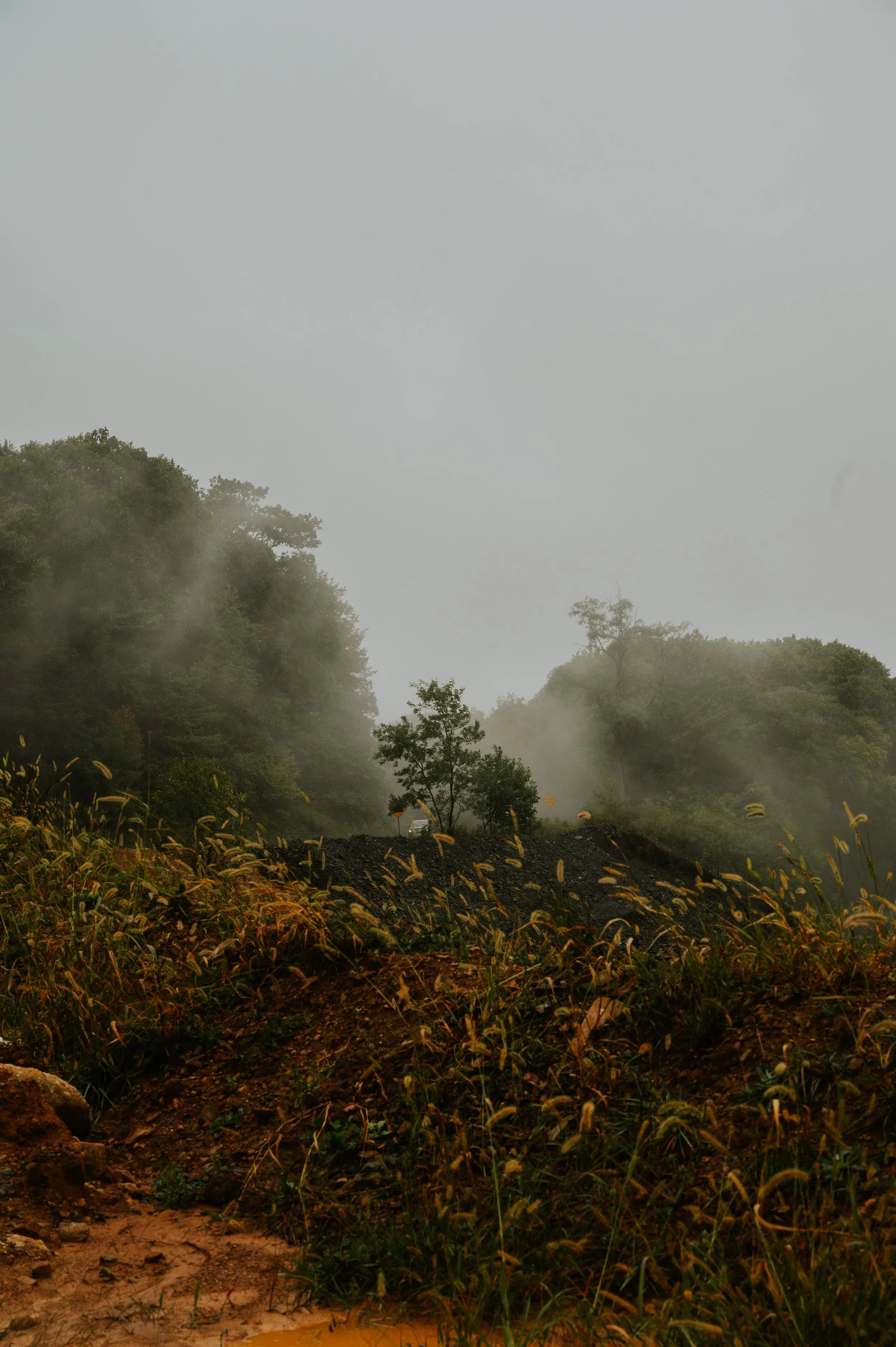 DSC_1401.jpeg