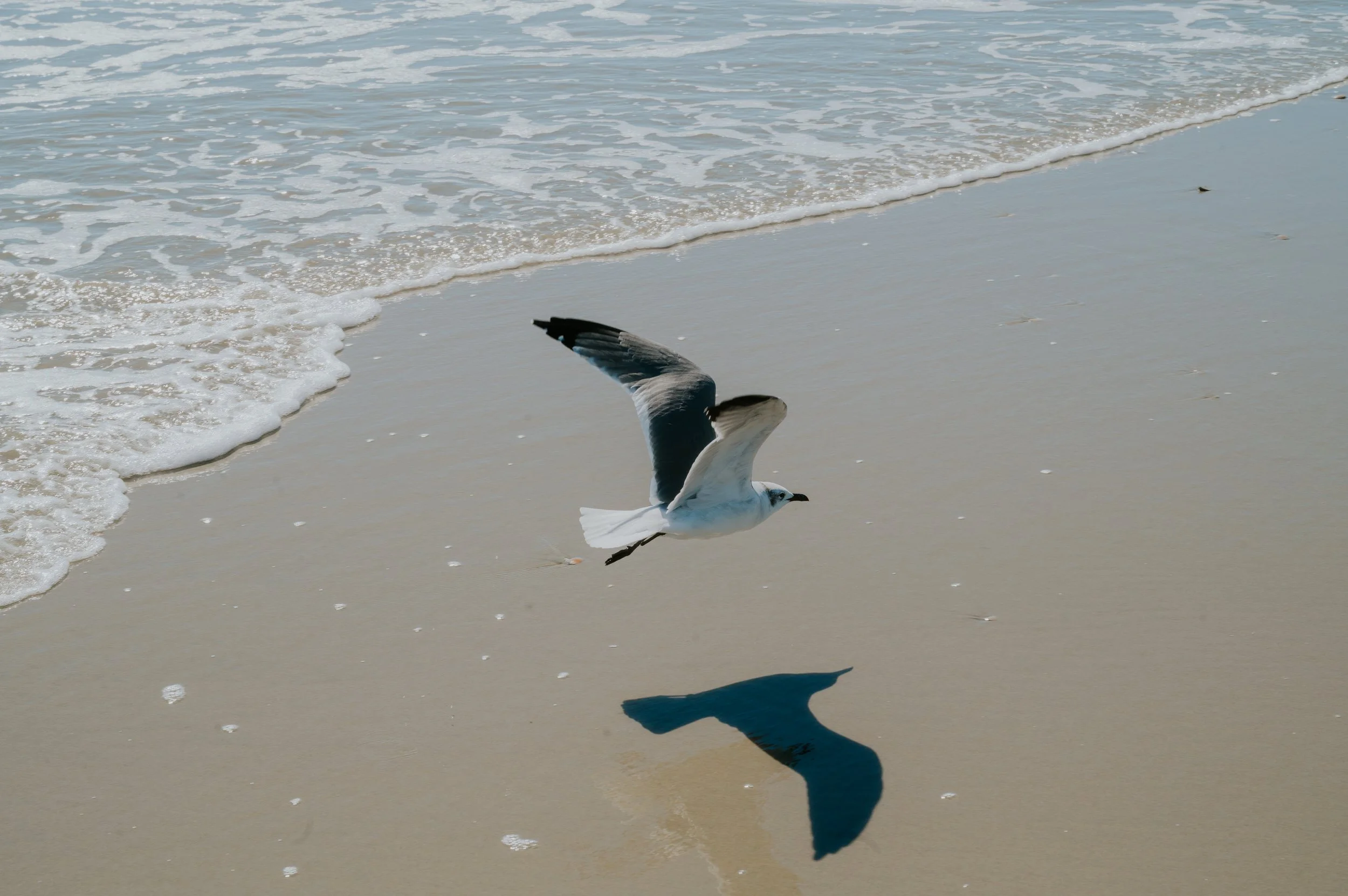 DSC_1664.jpg