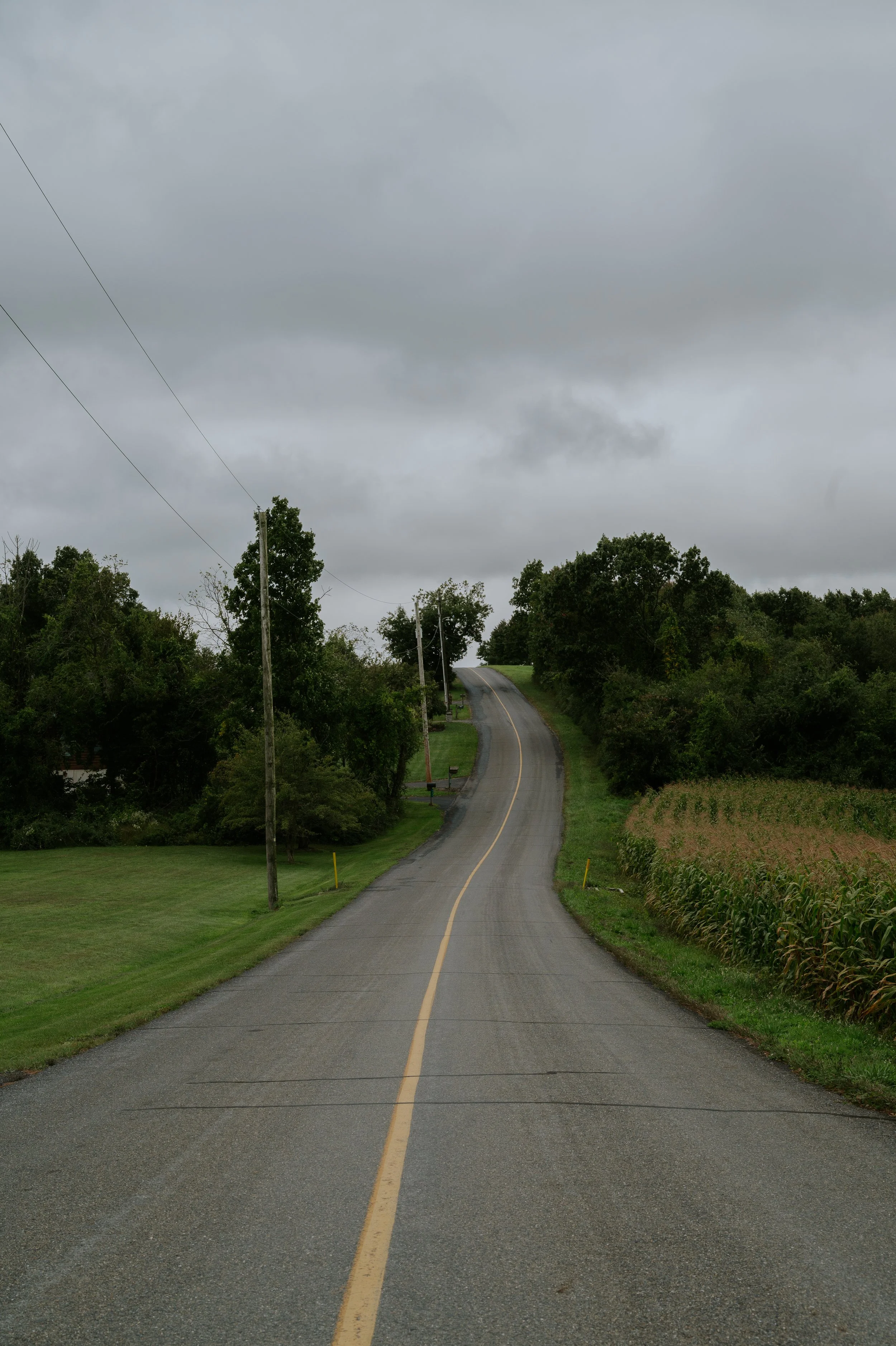 DSC_1500.jpeg