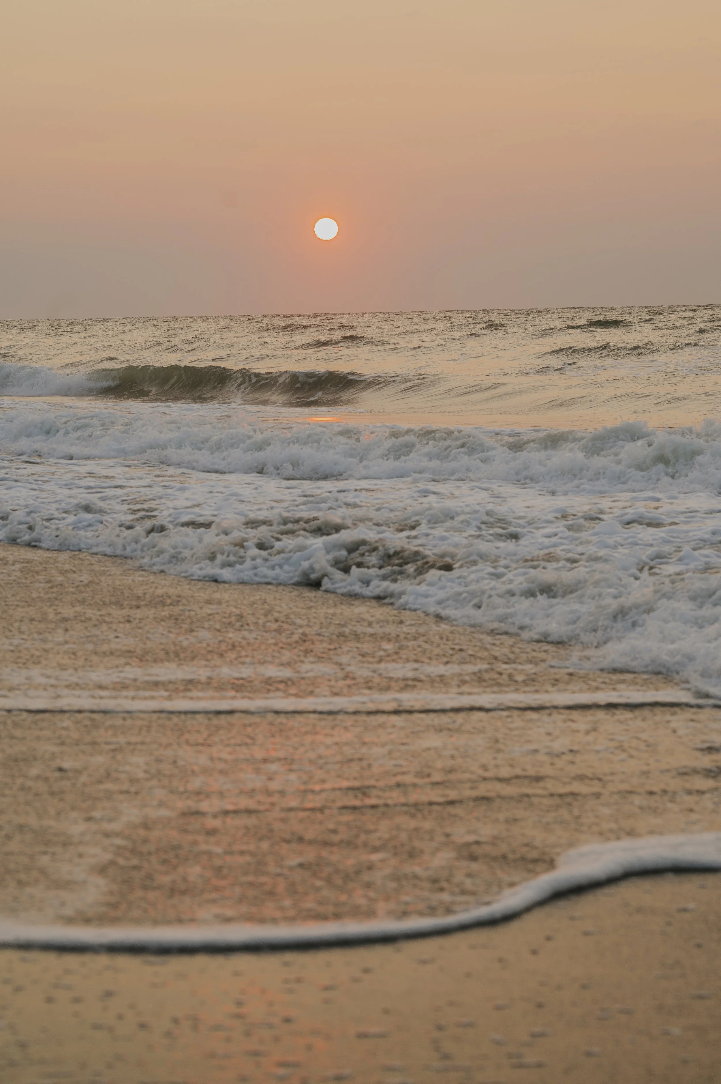DSC_8727.jpg