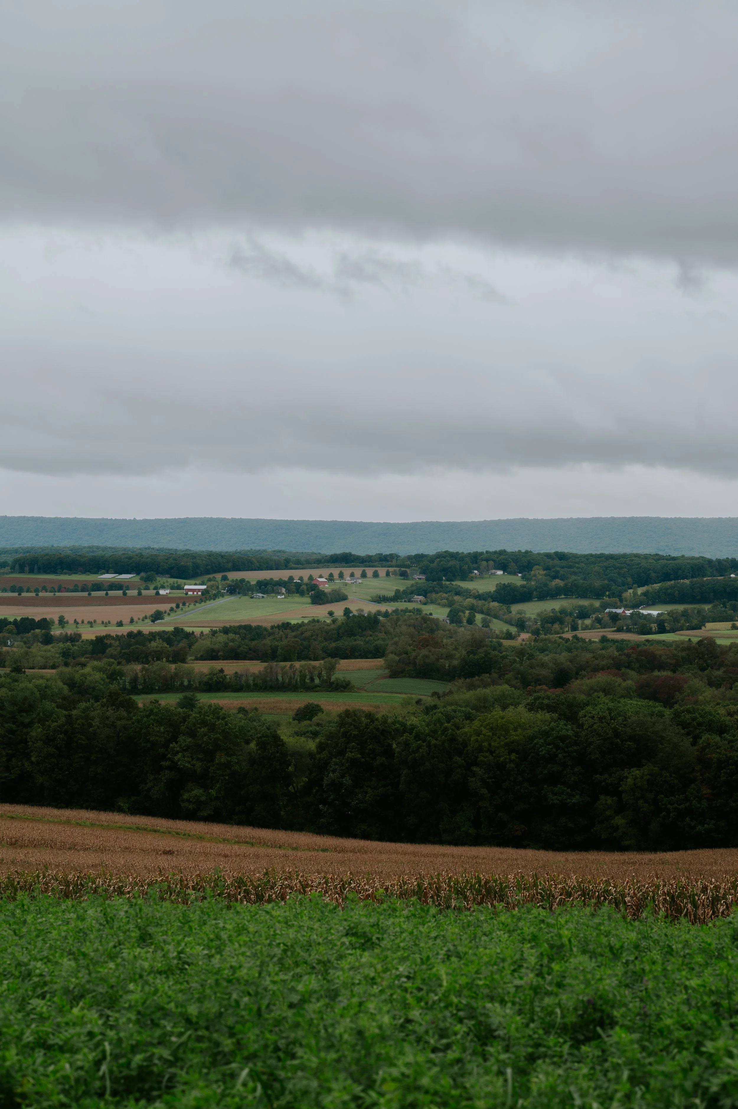 DSC_1532.jpeg