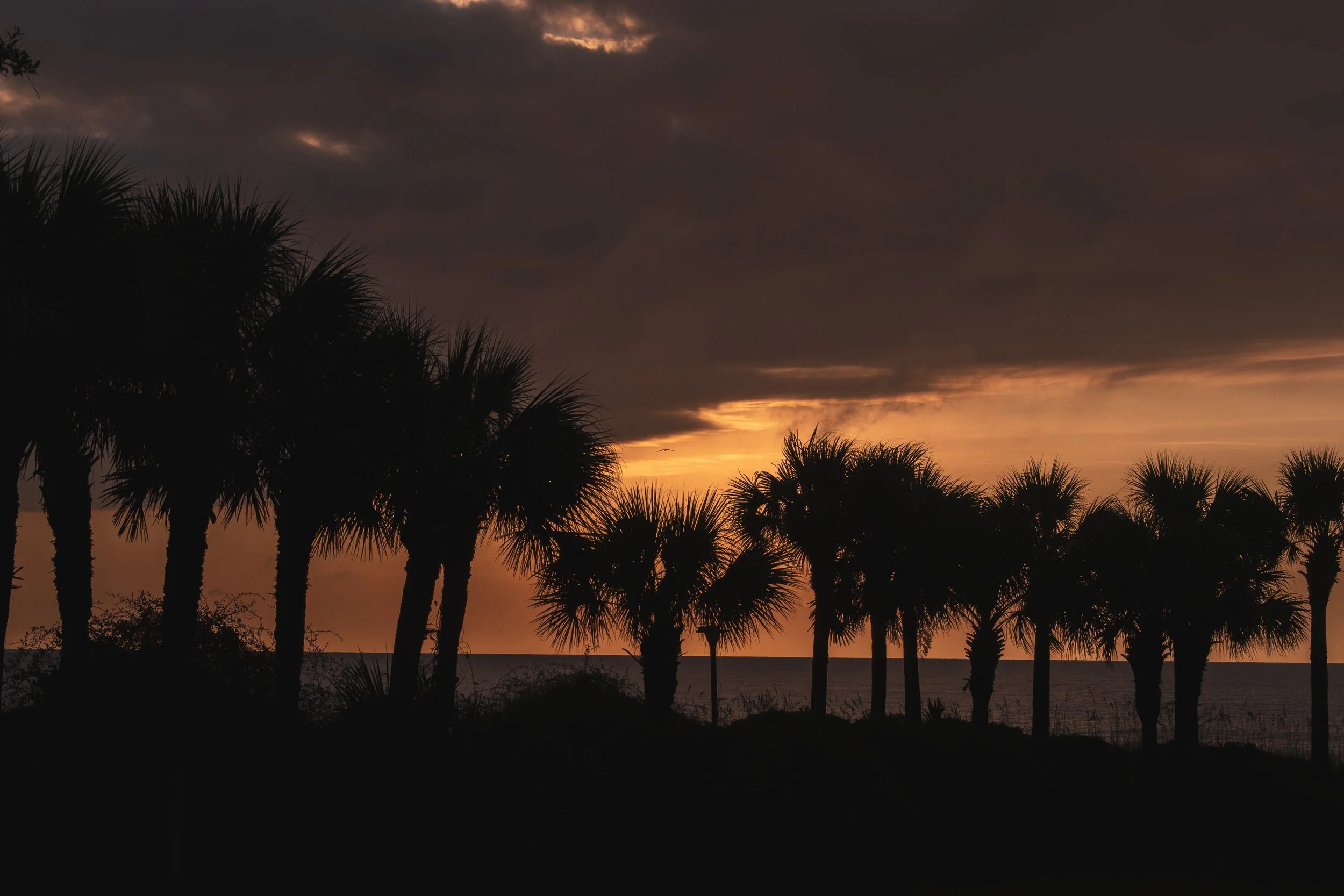 DSC_0402.jpg