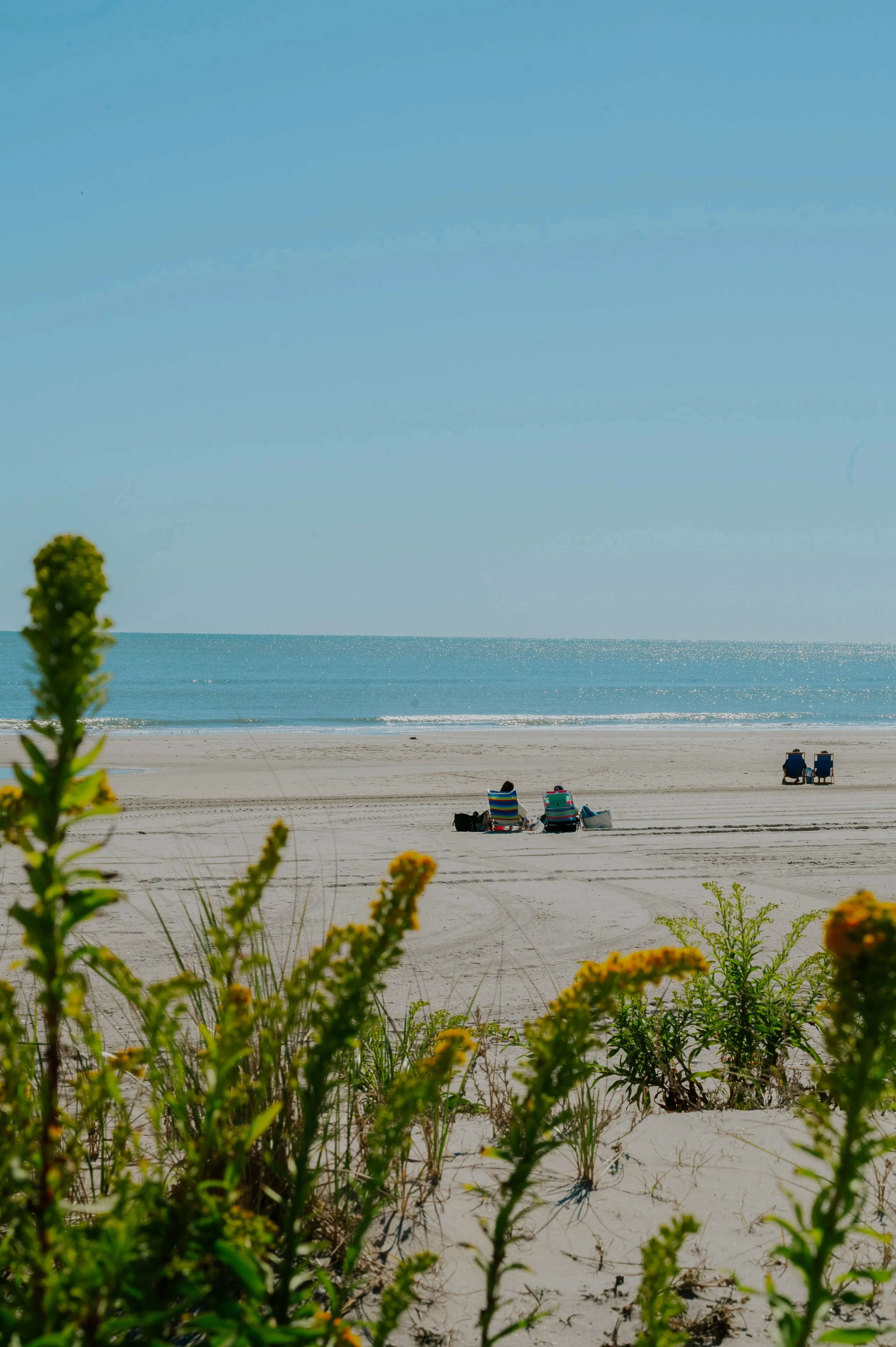 DSC_1635.jpg