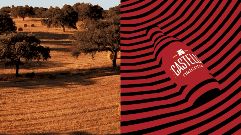 CASE+CASTELLO+2025+ENG_Sub_05.gif