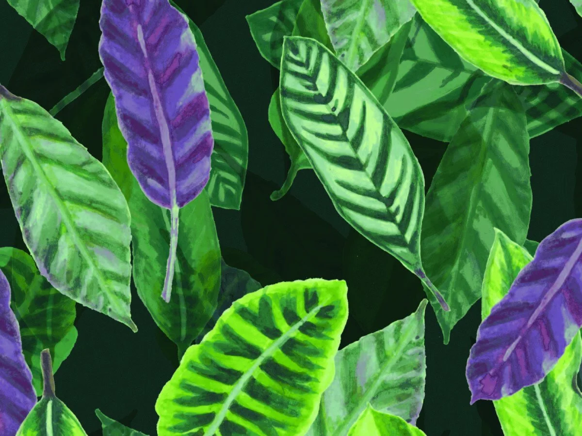 surface design preview6-03.jpg