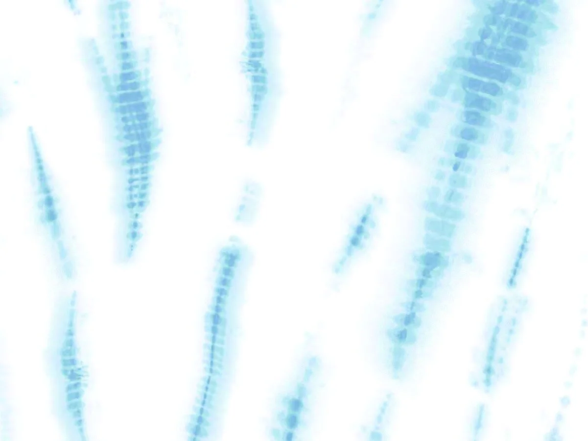 surface design preview3-04.jpg