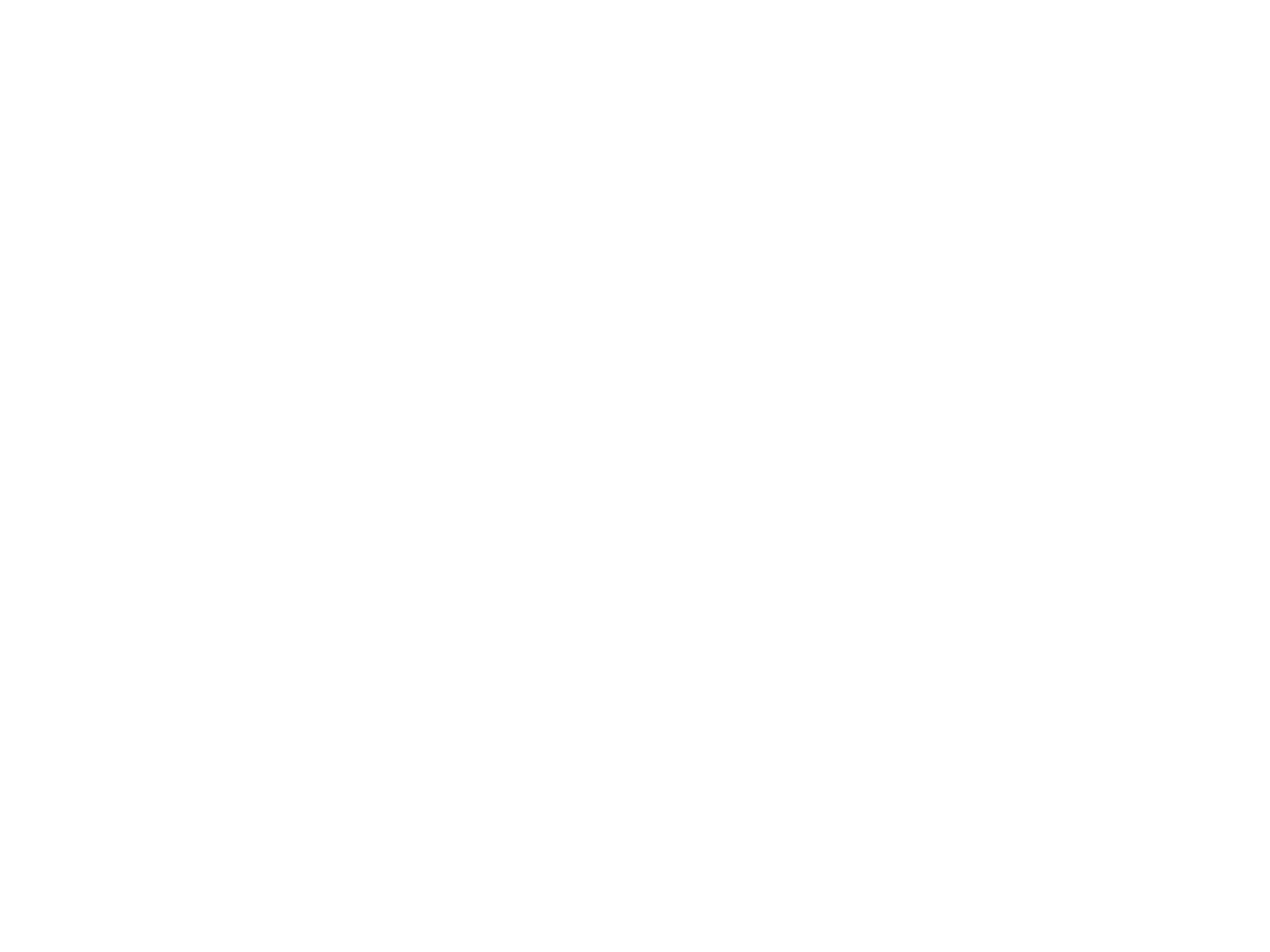 FlyPhysio
