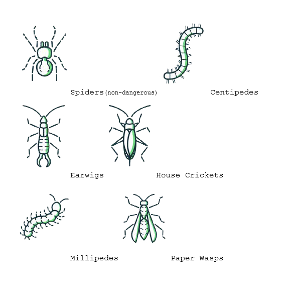 Pests2.PNG