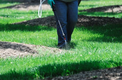 Lawn Spraying.PNG