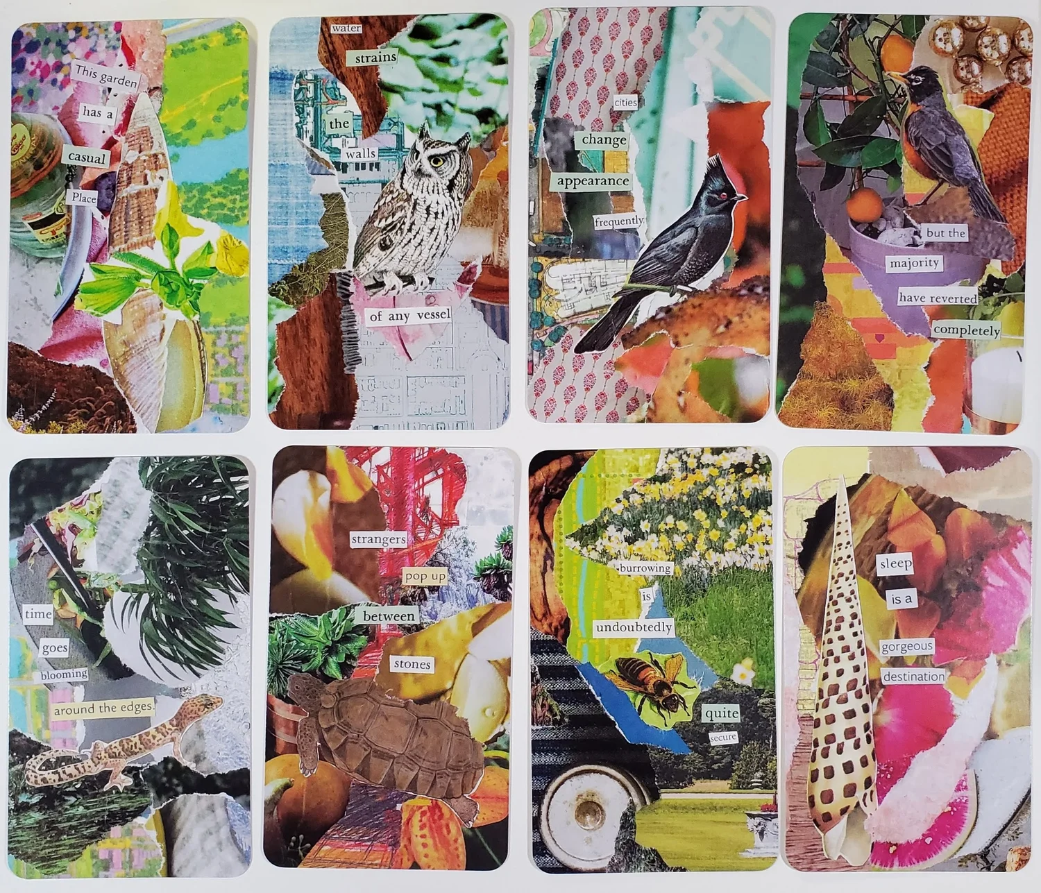 Foraged Oracle: analog collage card deck with found text — S.G. Stasi Designs