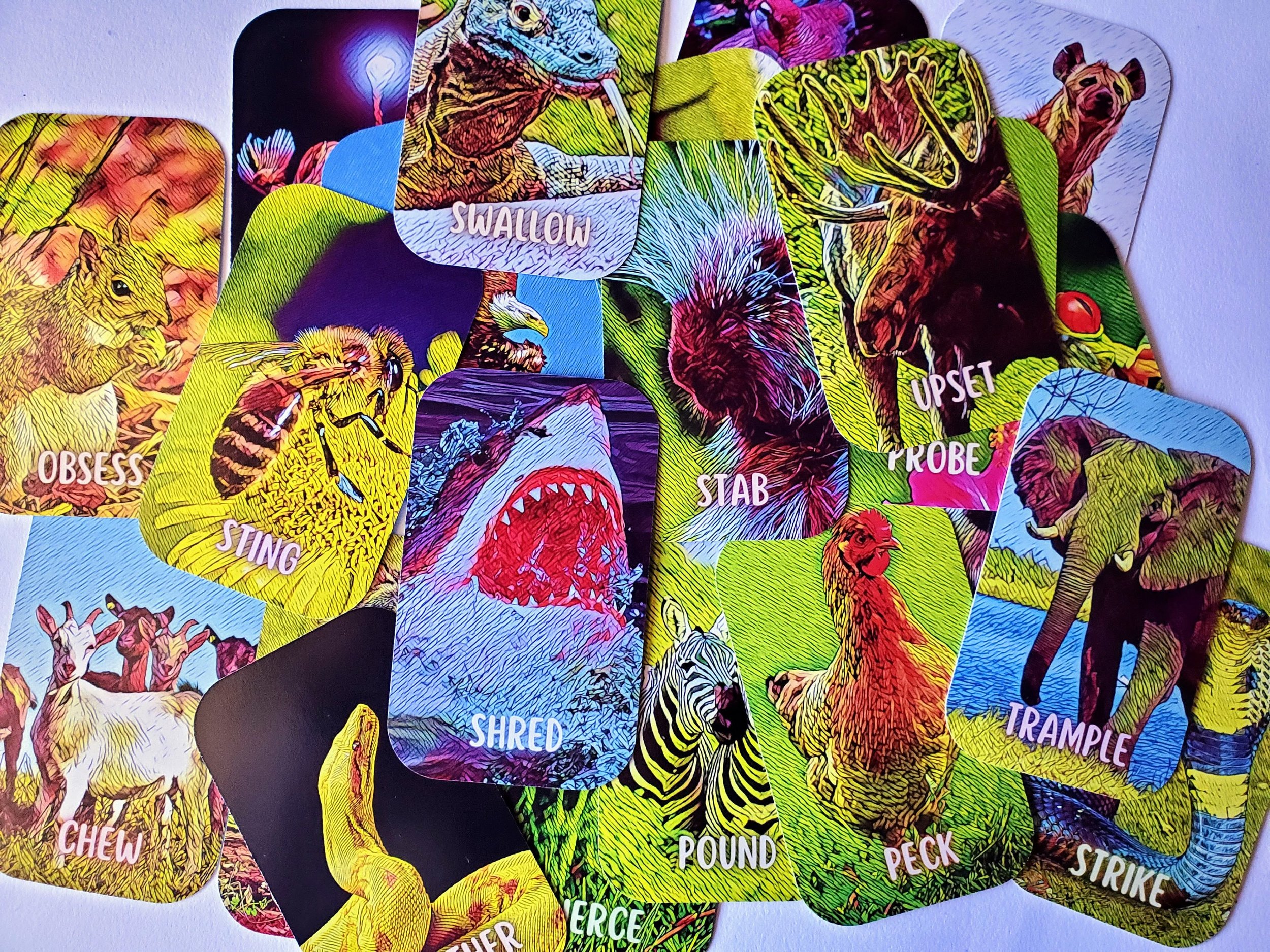 https://i.etsystatic.com/5181394/r/il/707967/4888613486/il_fullxfull.4888613486_831n.jpg