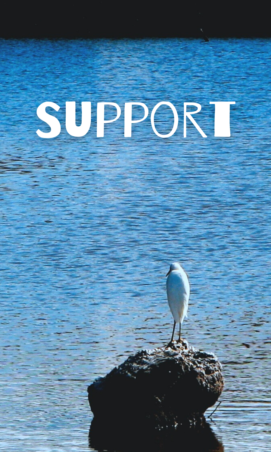 Water 10.png