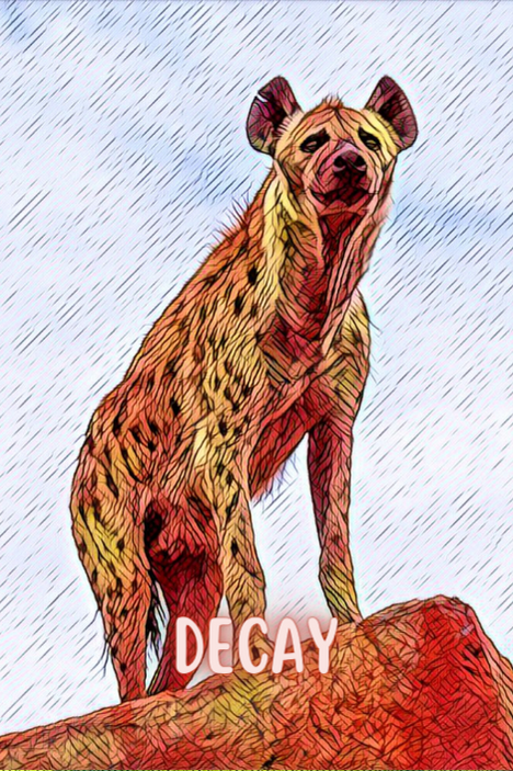 7.png