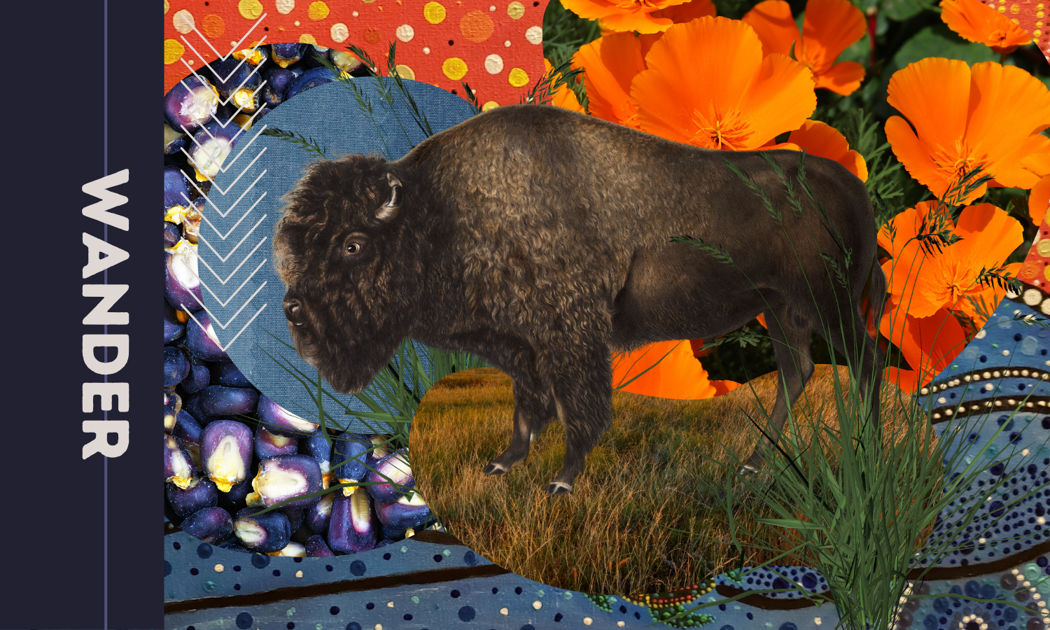 Wander.png