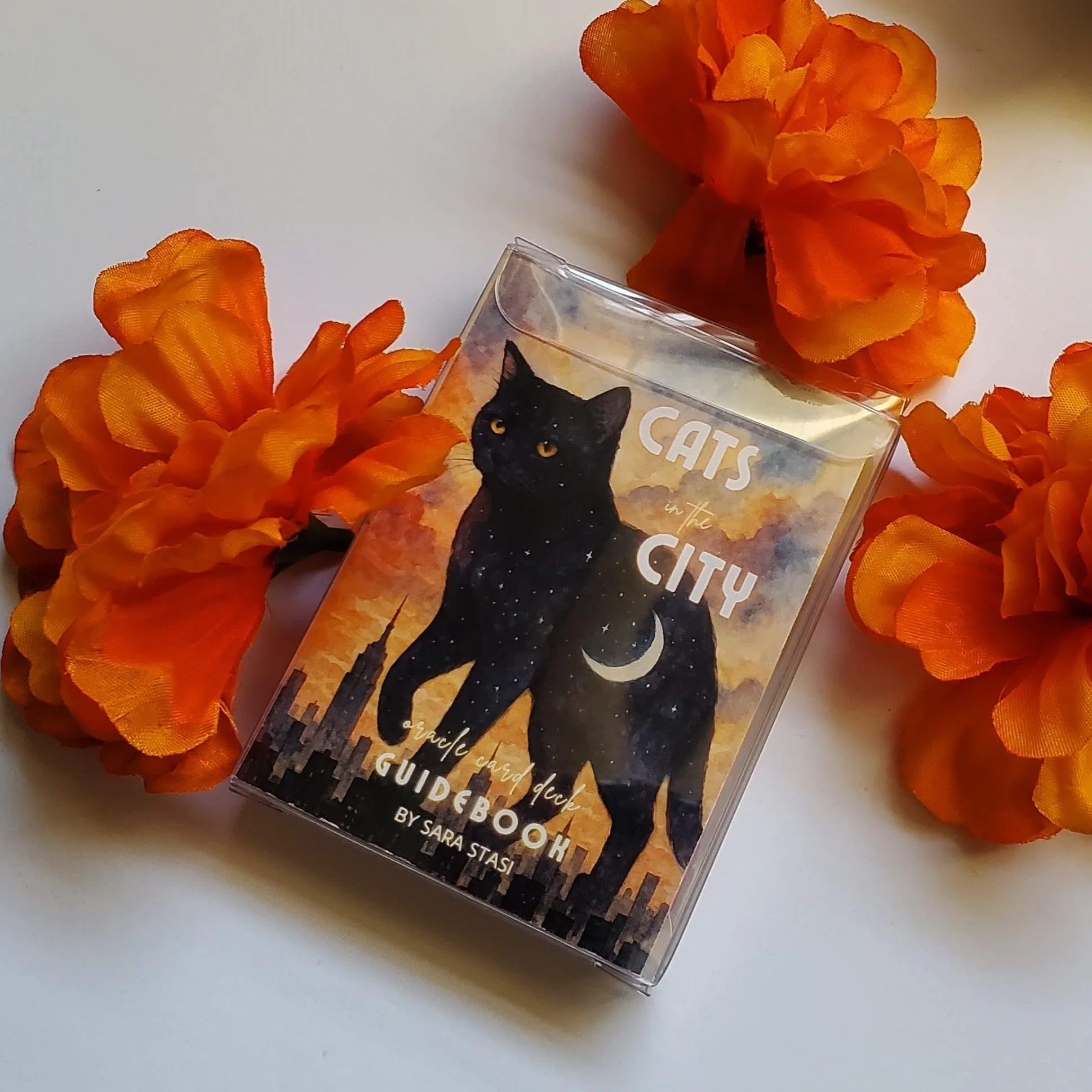 Cats in the City Oracle