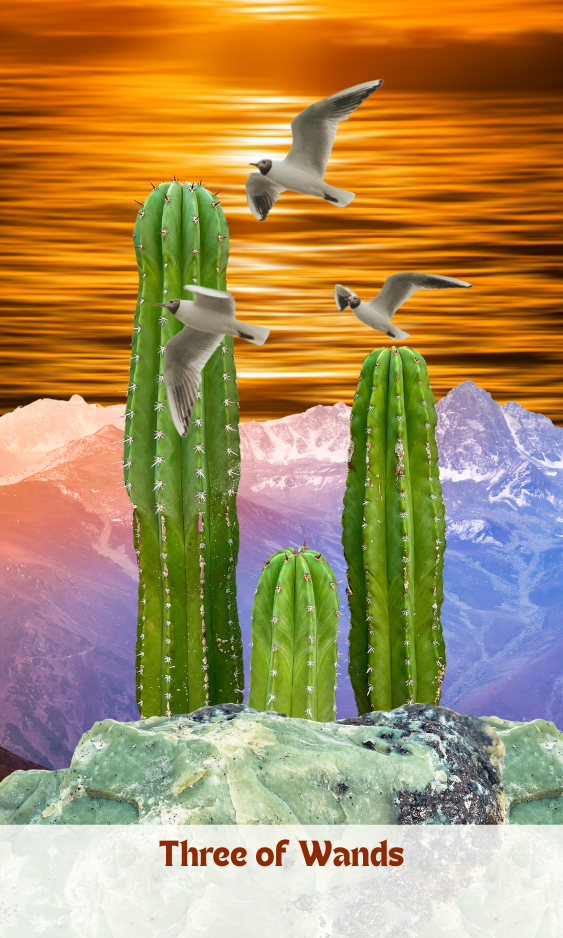 3.png