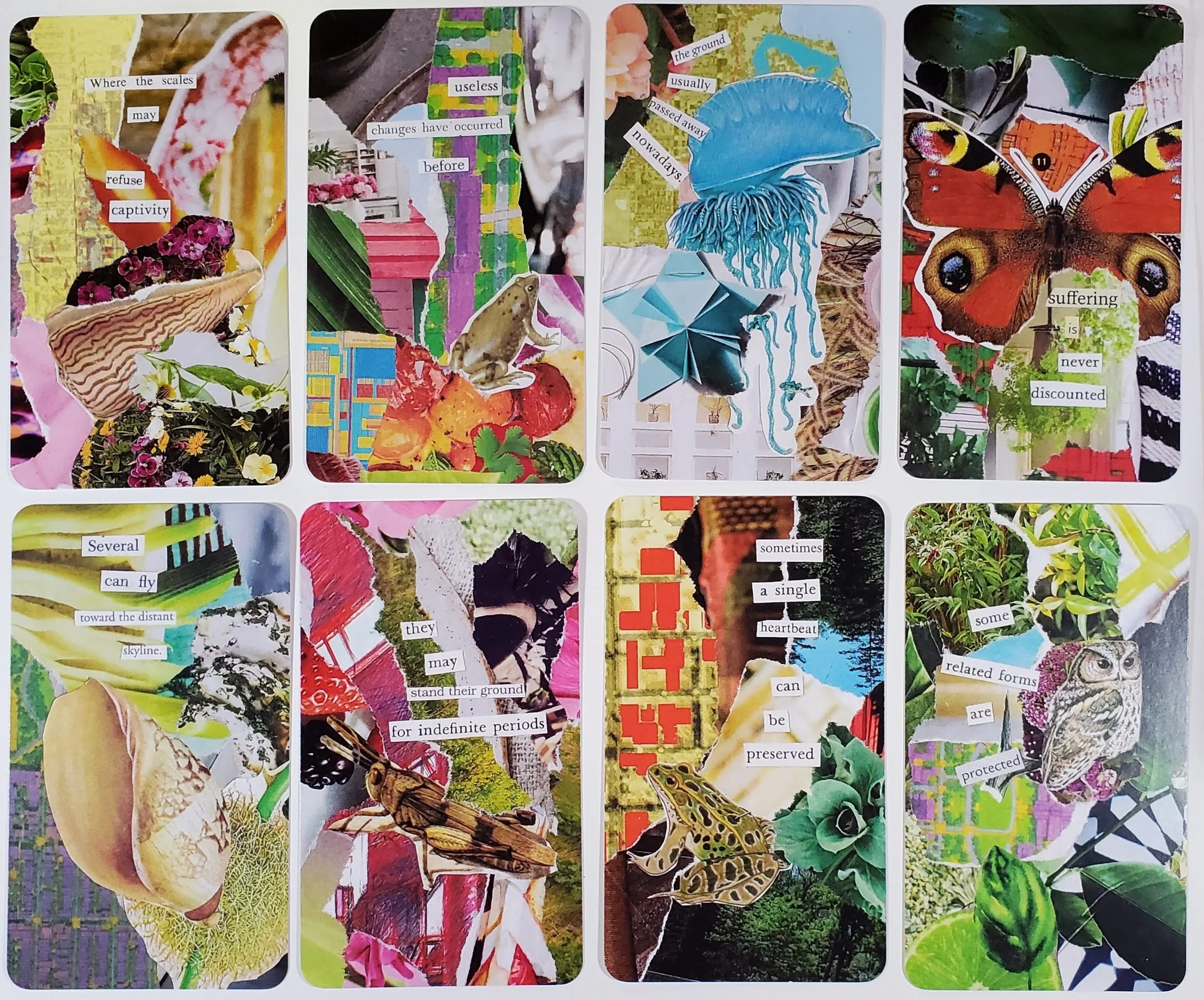Foraged Oracle: analog collage card deck with found text — S.G. Stasi Designs