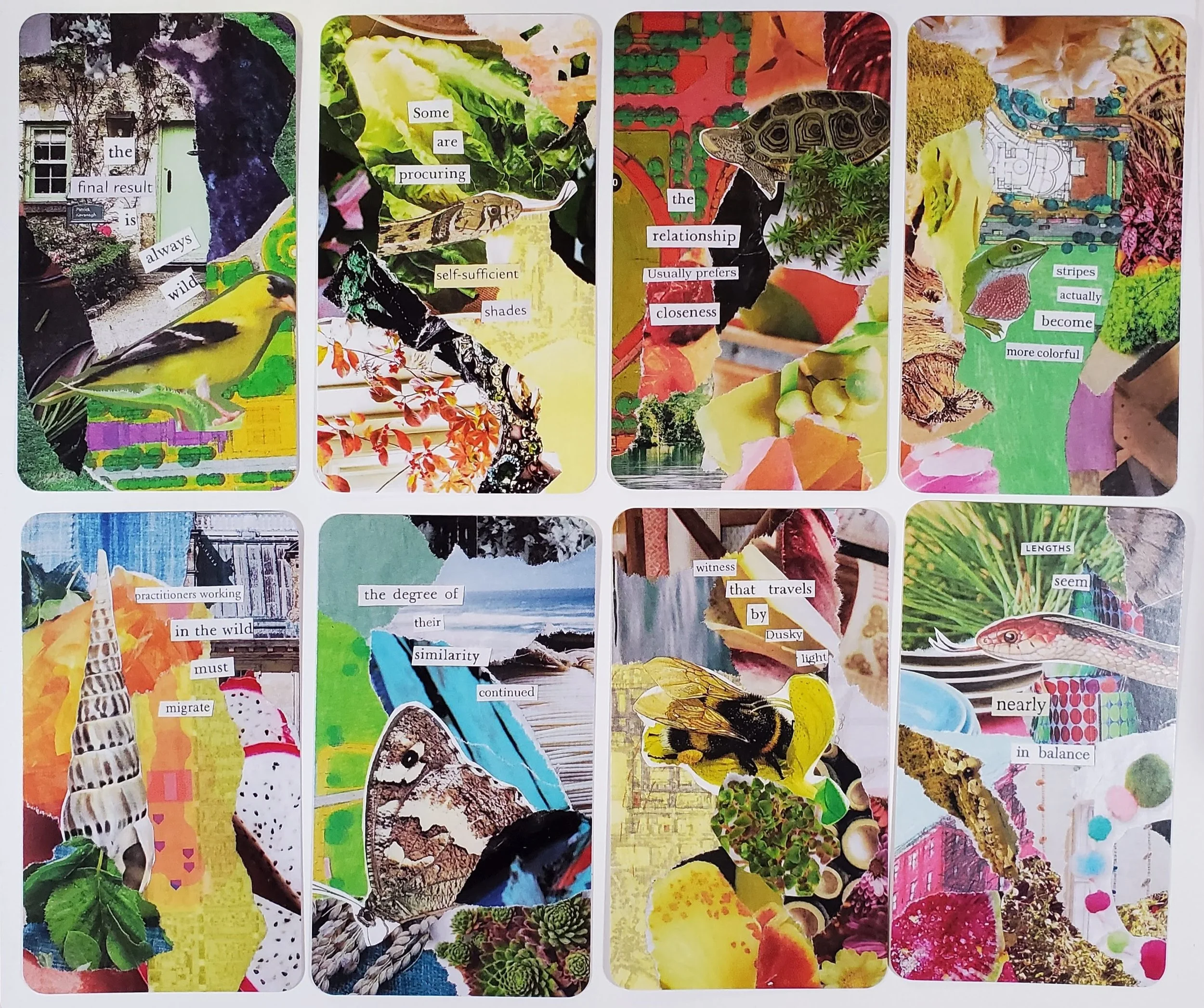 Foraged Oracle: analog collage card deck with found text — S.G. Stasi Designs