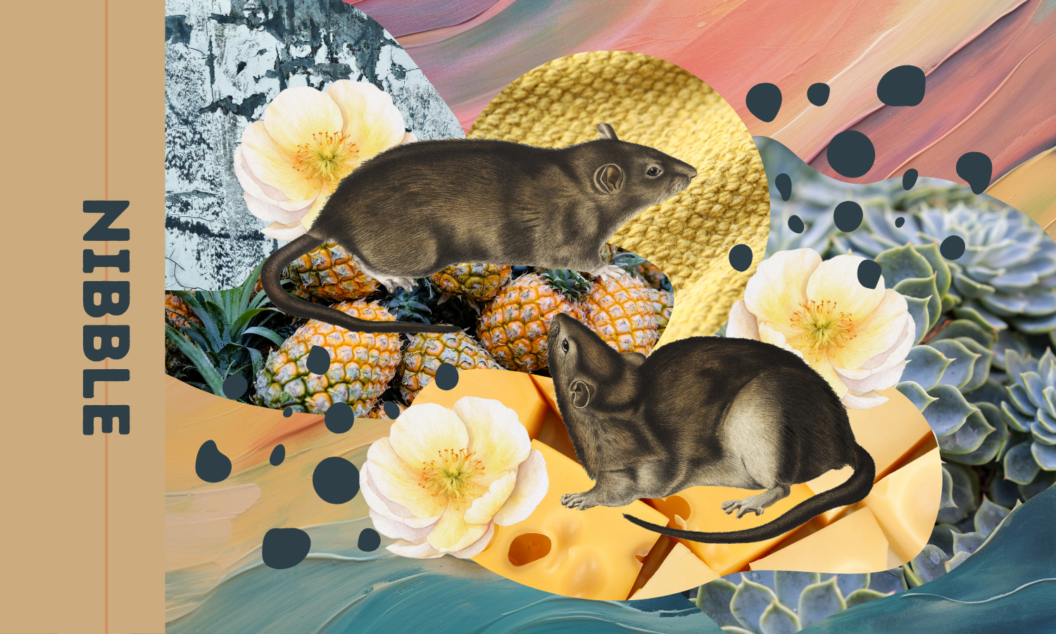 nibble.png