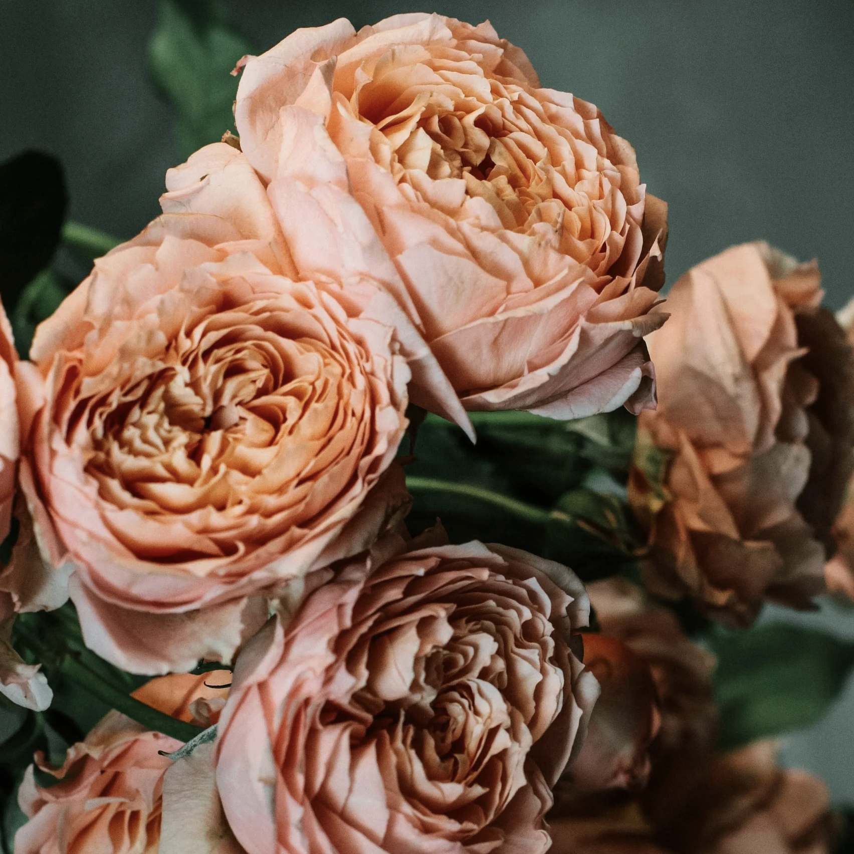 Screenshot 2025-11-13 at 3.01.12 PM.png