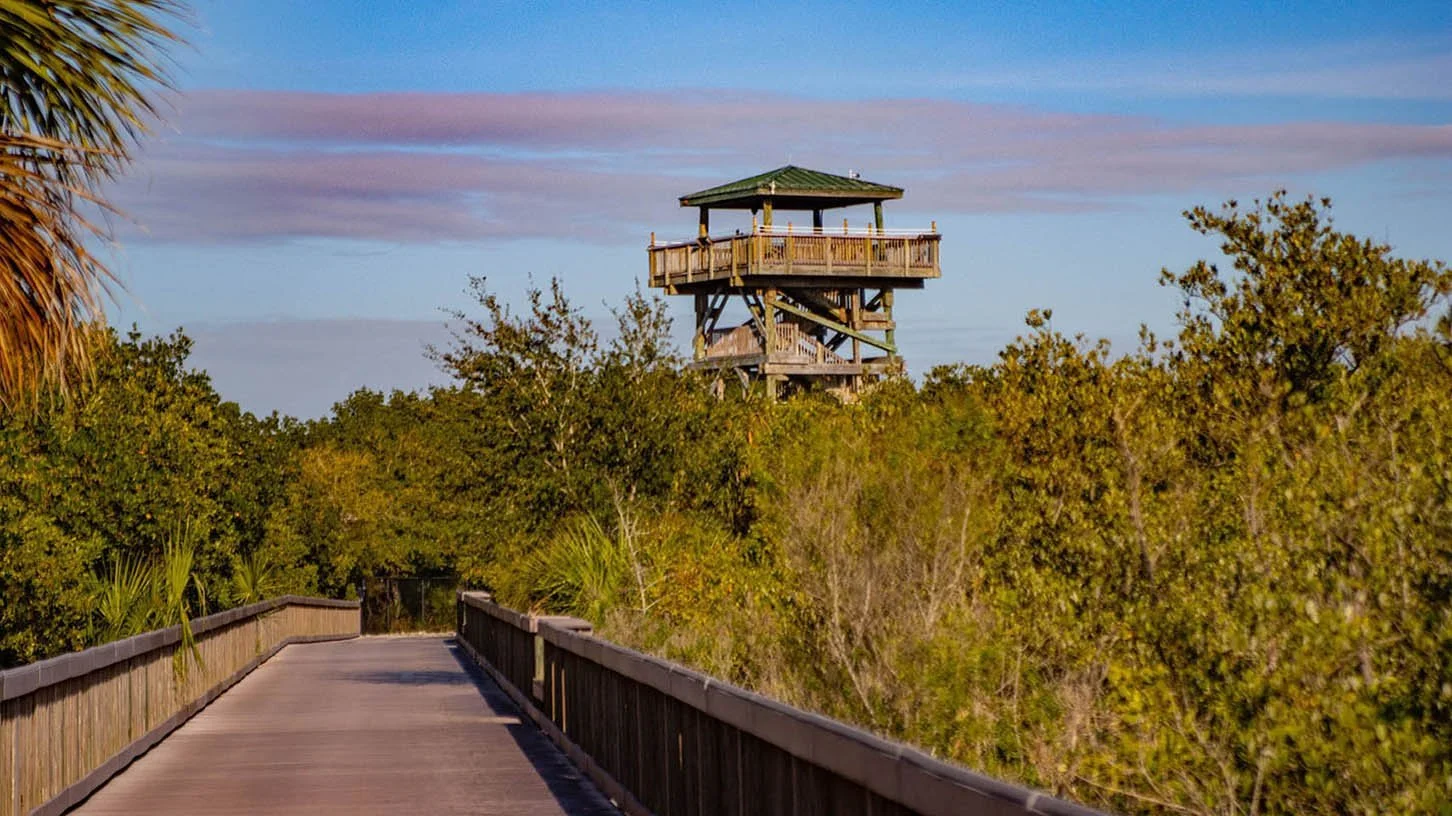 overlooktowerfar.jpg