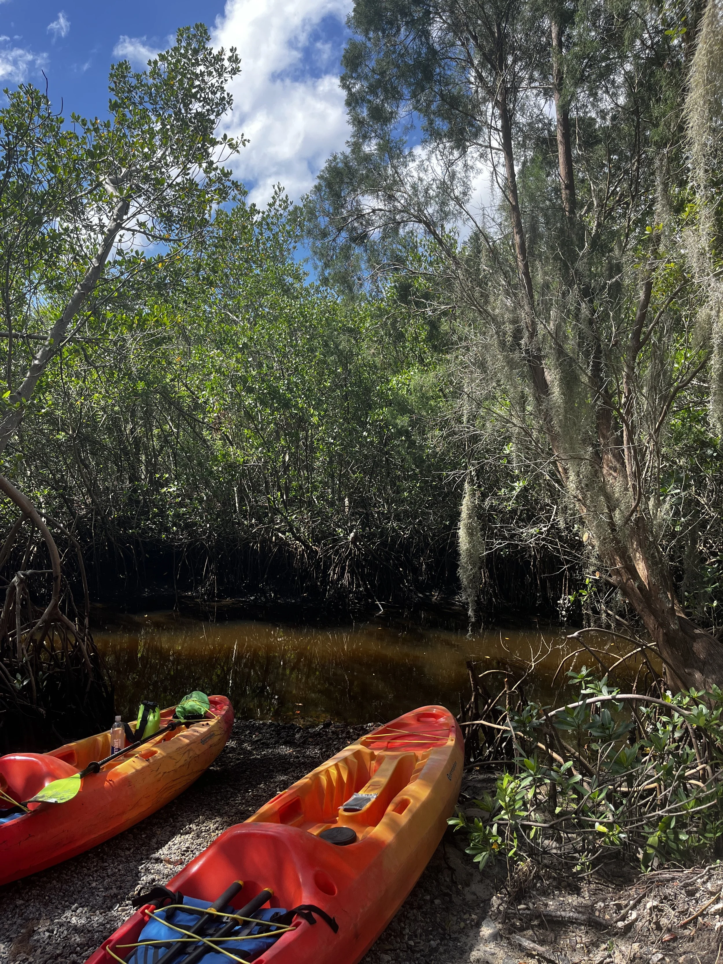 Launch off from our home base, just a short drive from the manatee viewing center overflow parking area, and begin your trip with the help of our friendly staff.