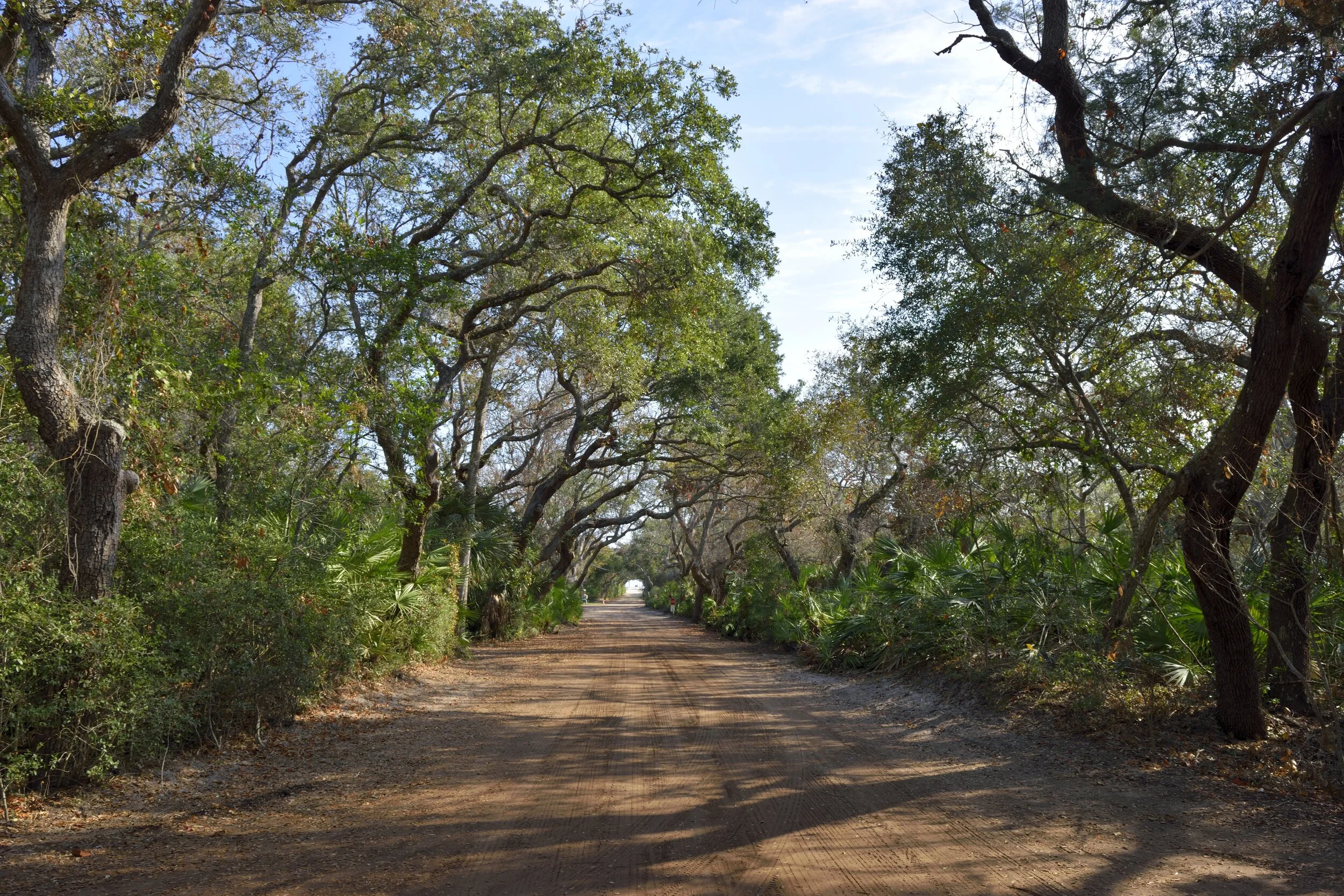 dirt-road-1805940.jpg