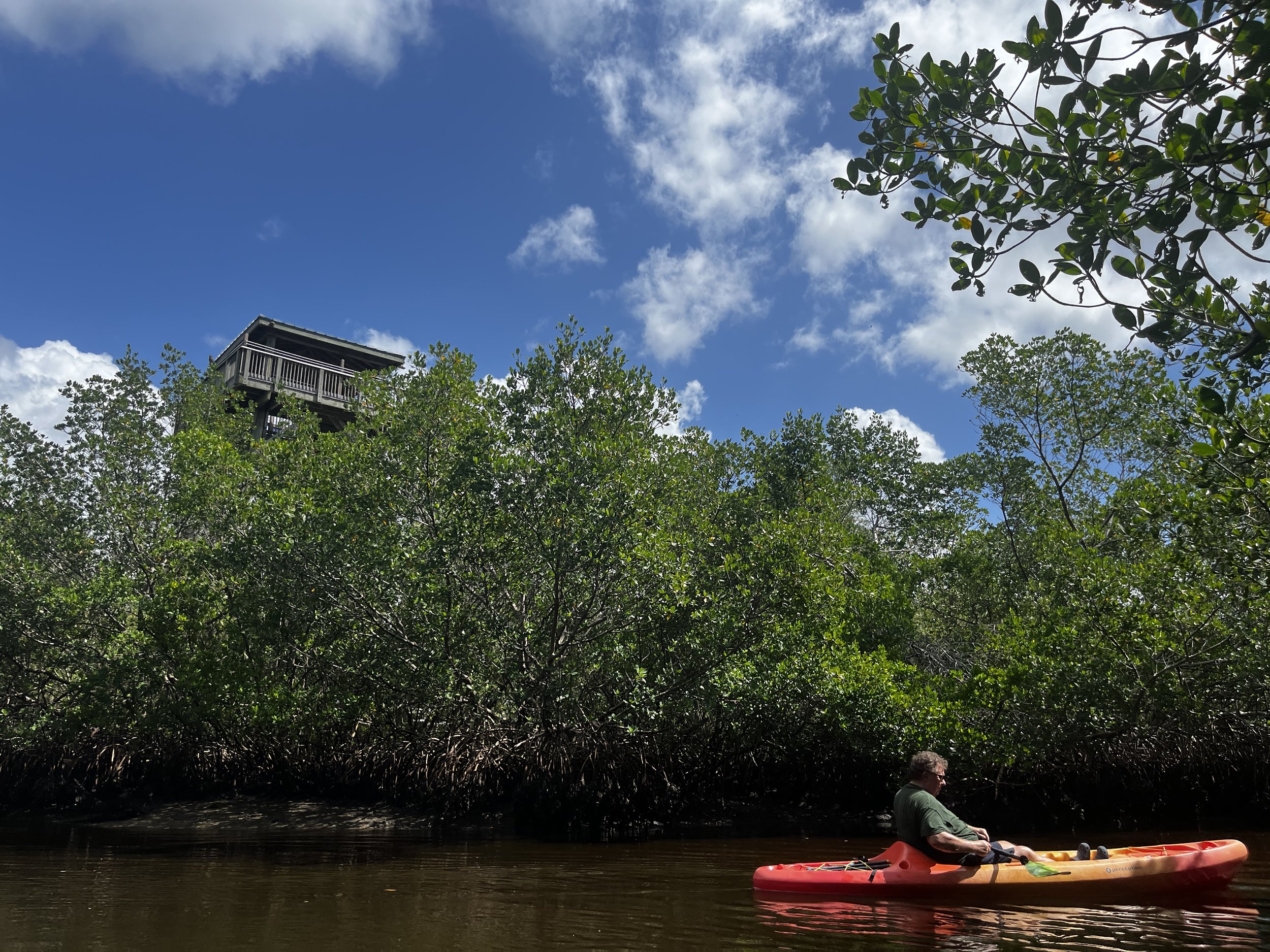 A short paddle takes you to the overlook tower, accessible by water, where you can get a birds-eye view of the surrounding estuary.